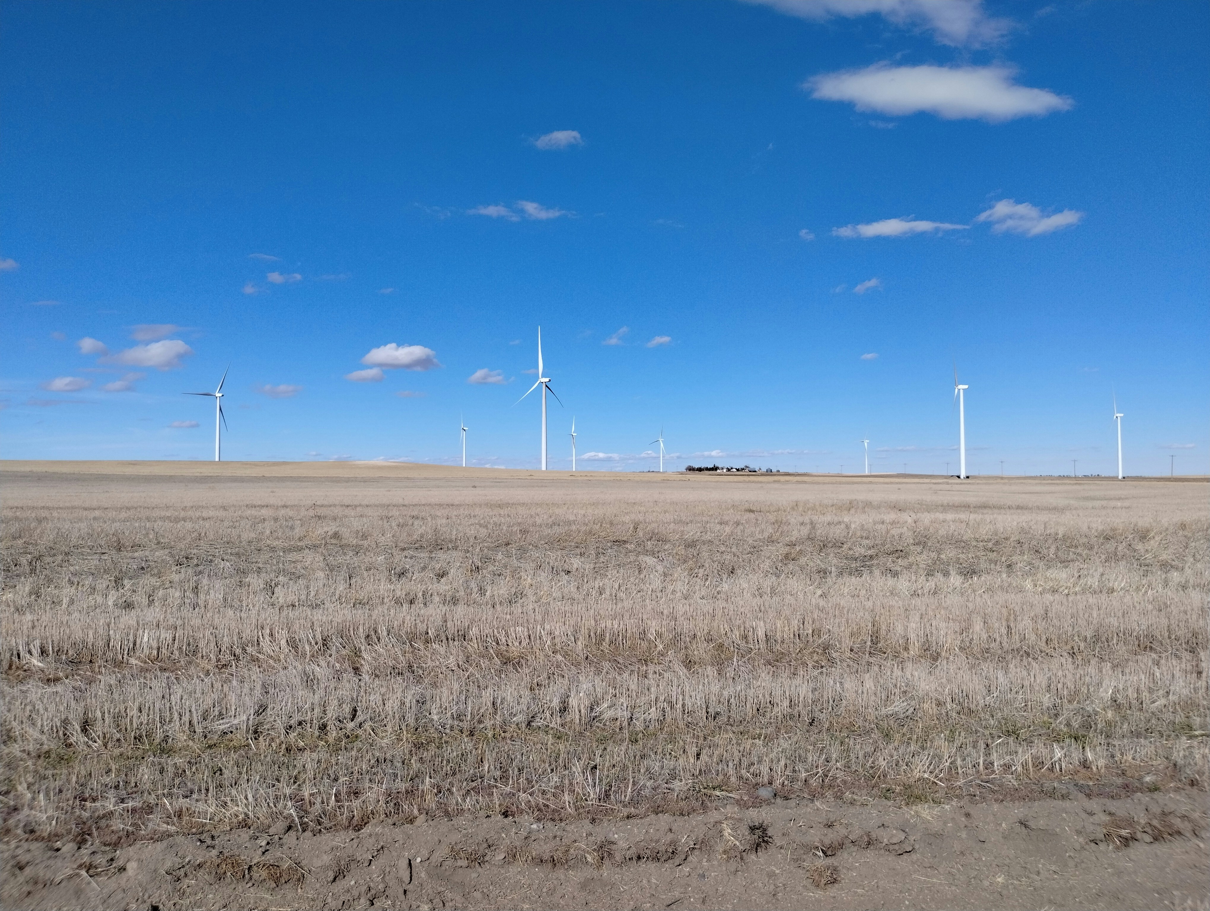 Photo by flameoffire13