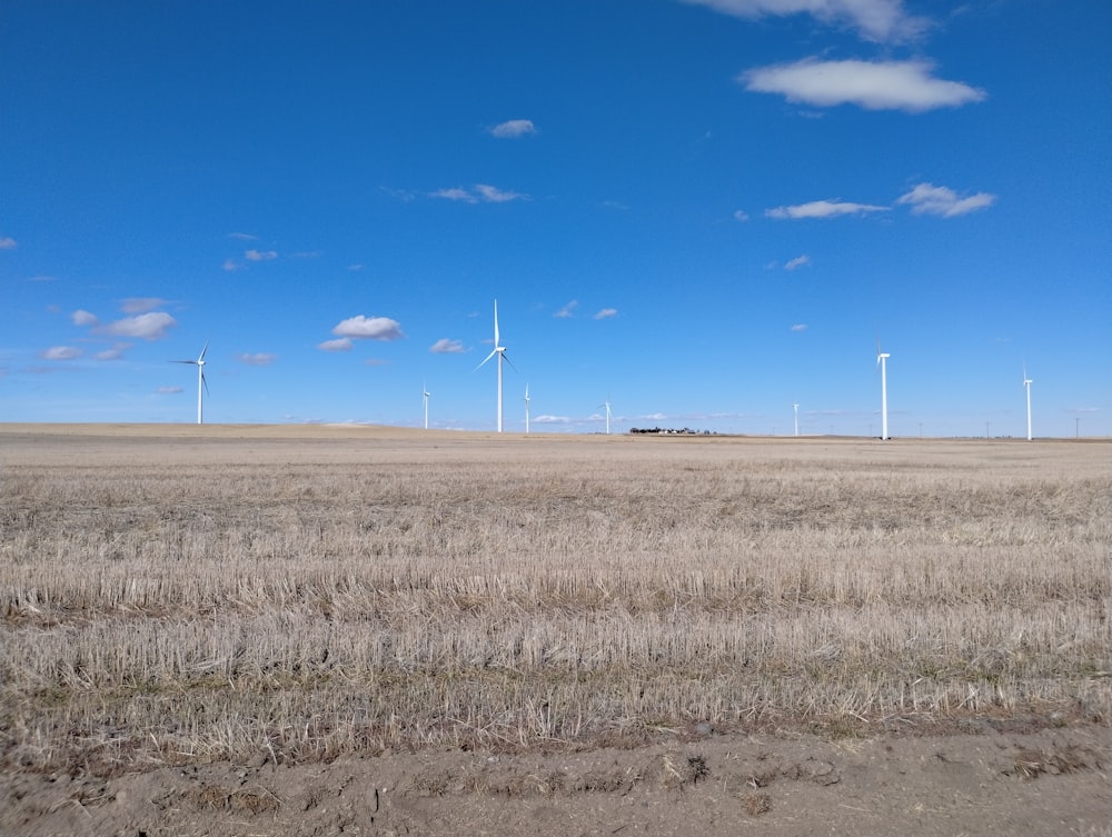 a field with several wind mills in the distance