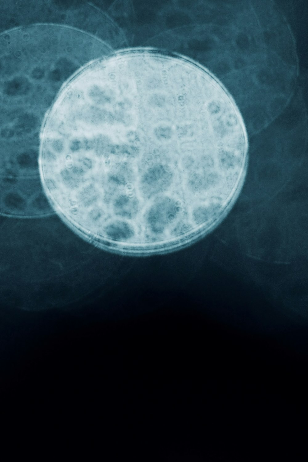 an image of a round object in the dark