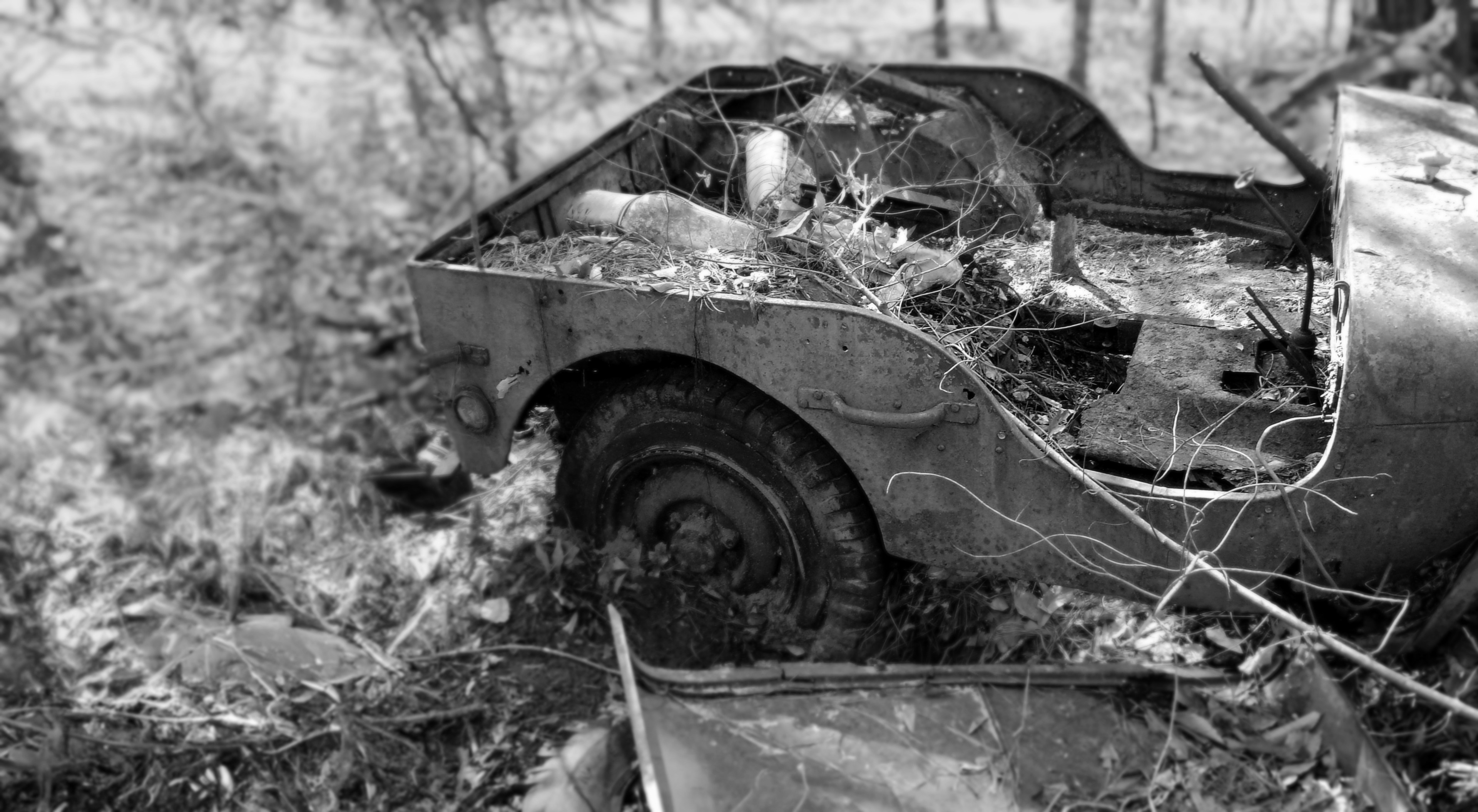 Photo by welbornworks