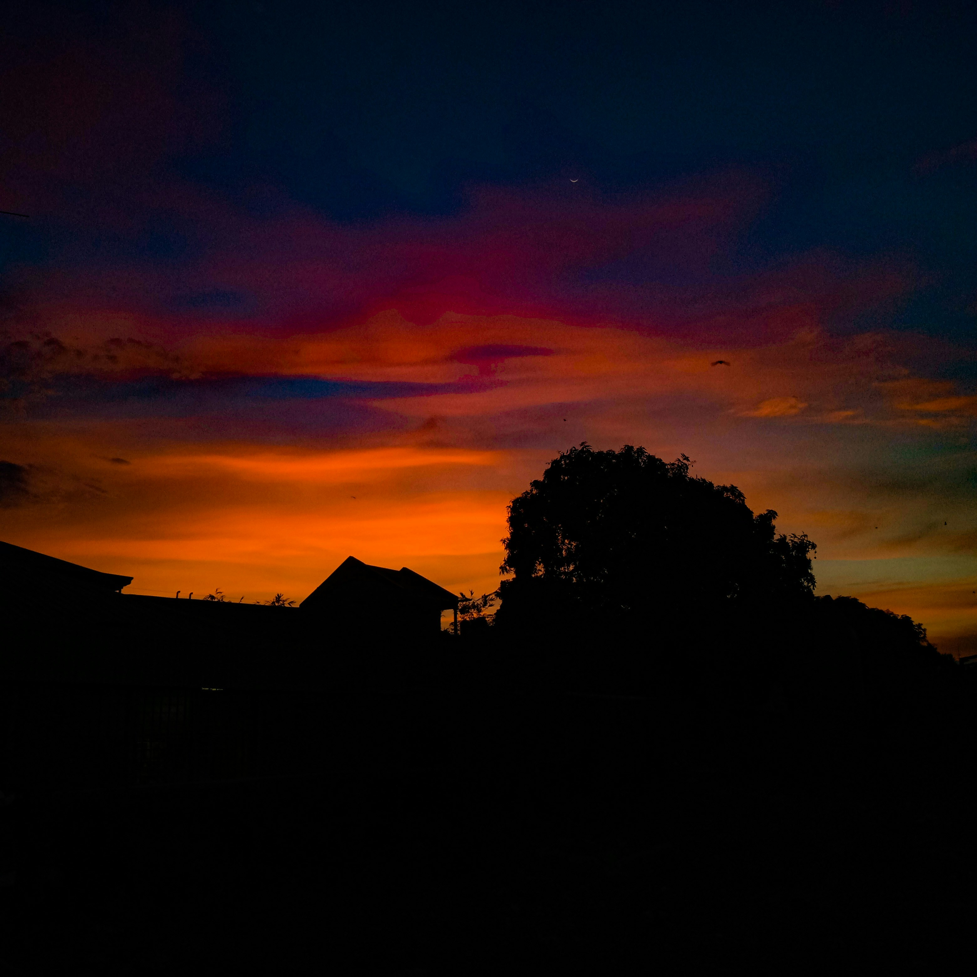 Photo by msophiaphotos