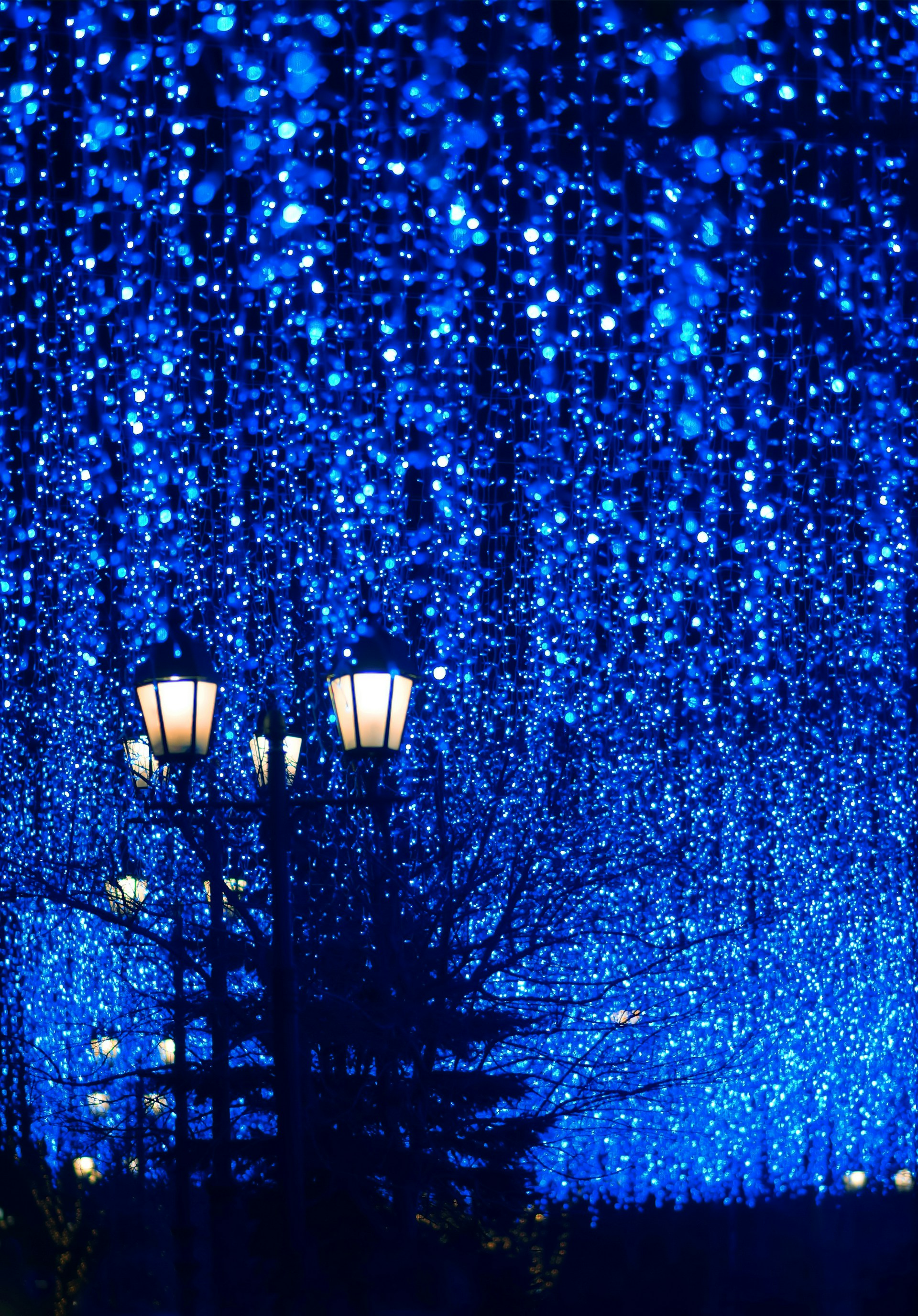 a couple of lights that are on a pole