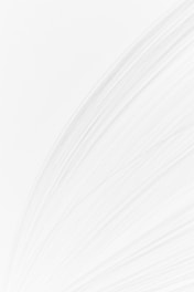 a black and white photo of a white background