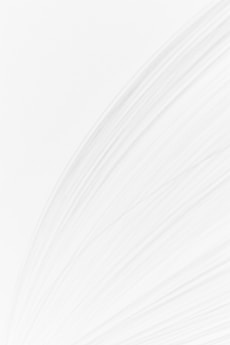 a black and white photo of a white background