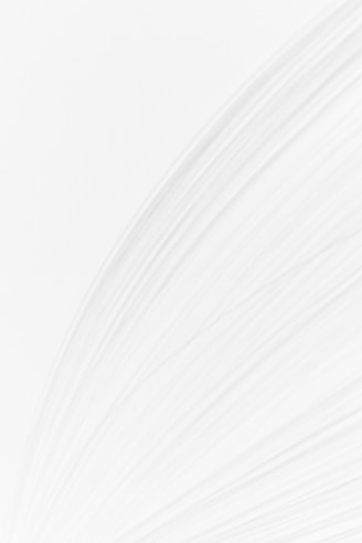 a black and white photo of a white background