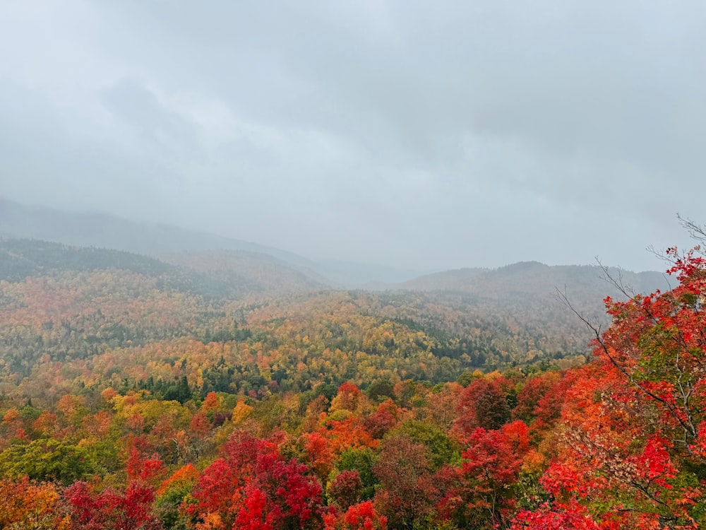 a scenic view of a mountain range in the fall