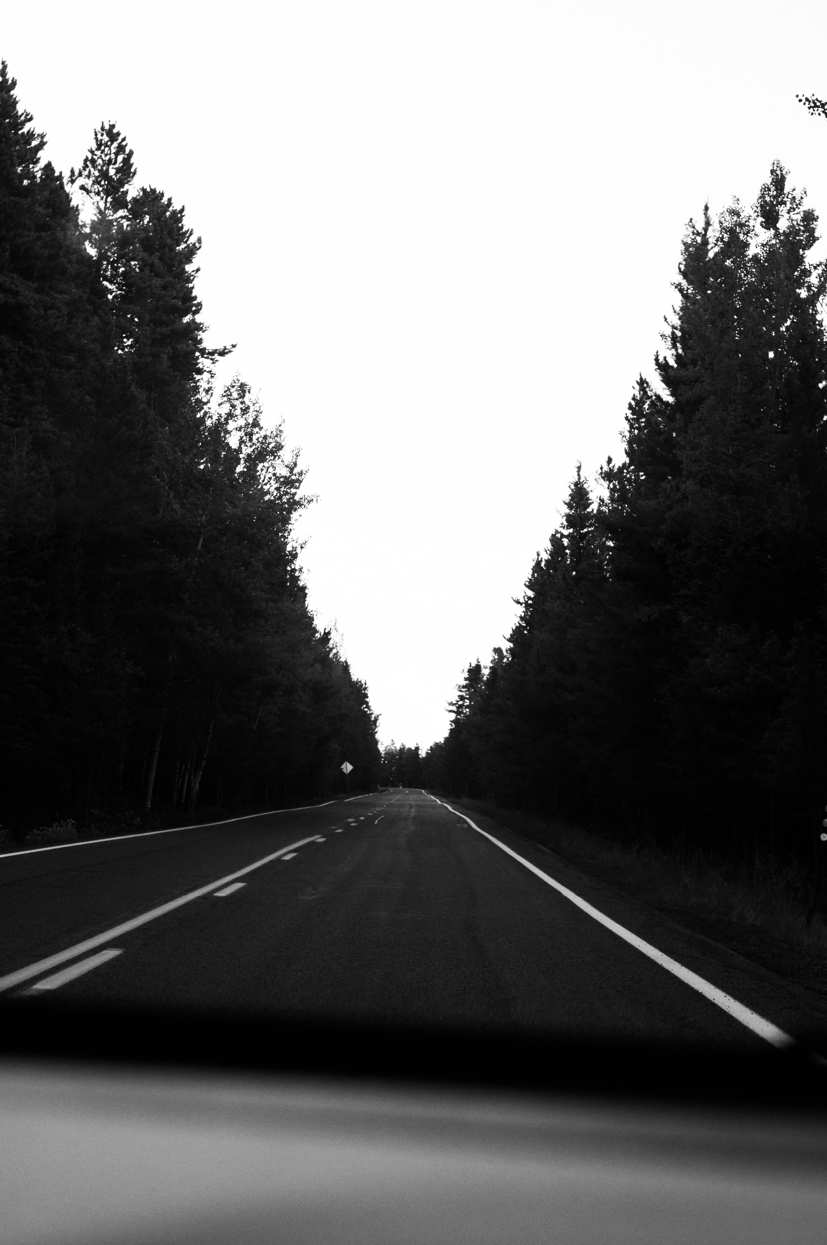 Photo by karilynkimbriel