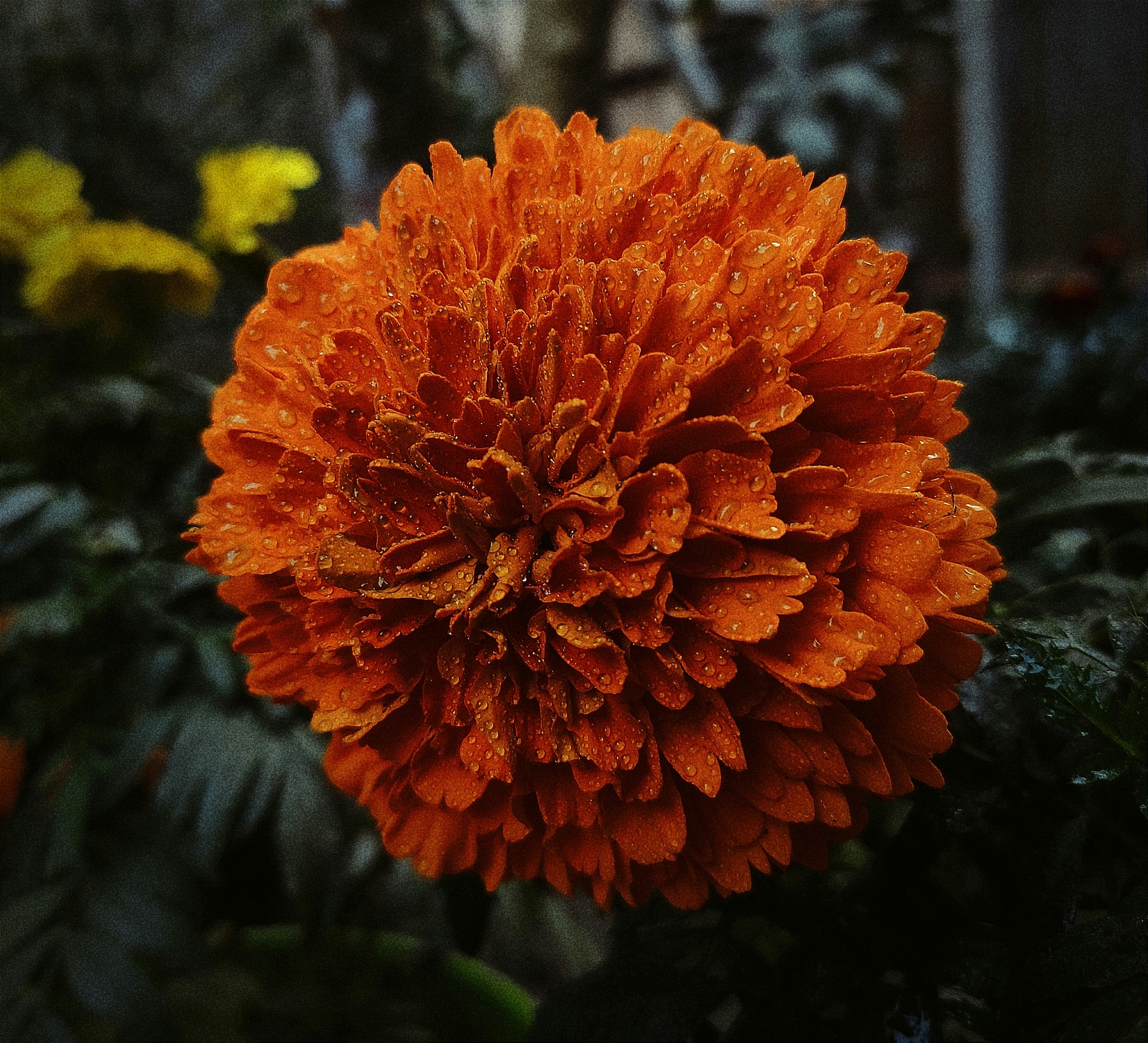 Photo by avra_sama_69