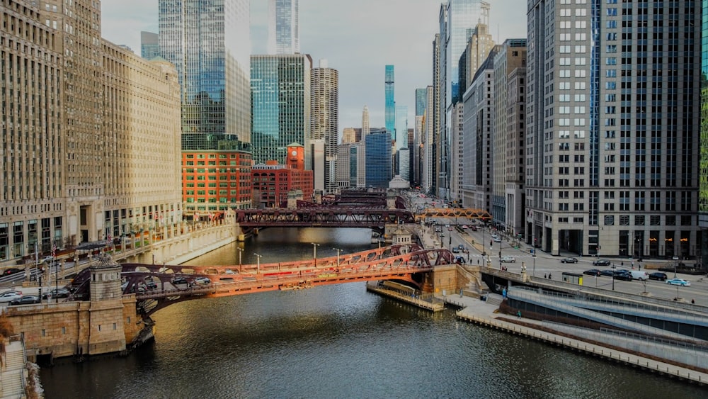 a bridge over a river in a large city