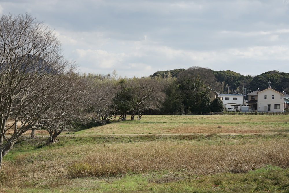 a large field with a house in the background