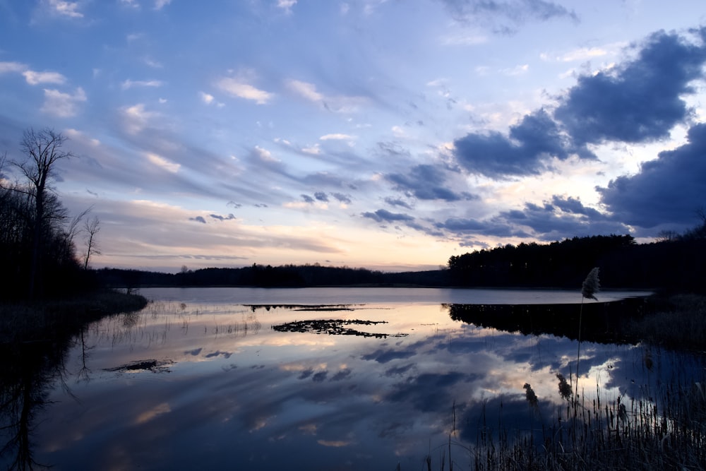 a large body of water surrounded by a forest