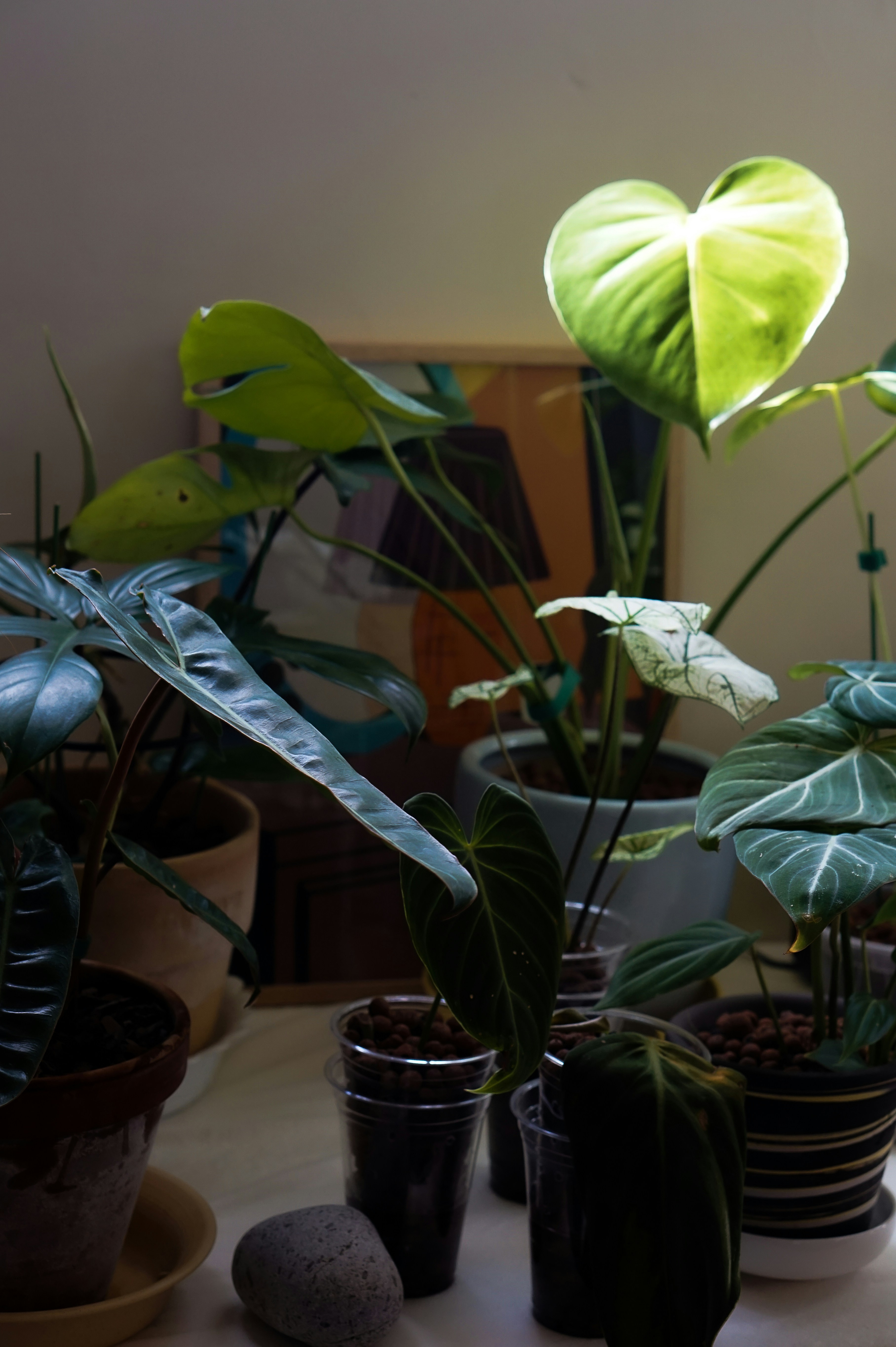 Photo by thingsneverchange