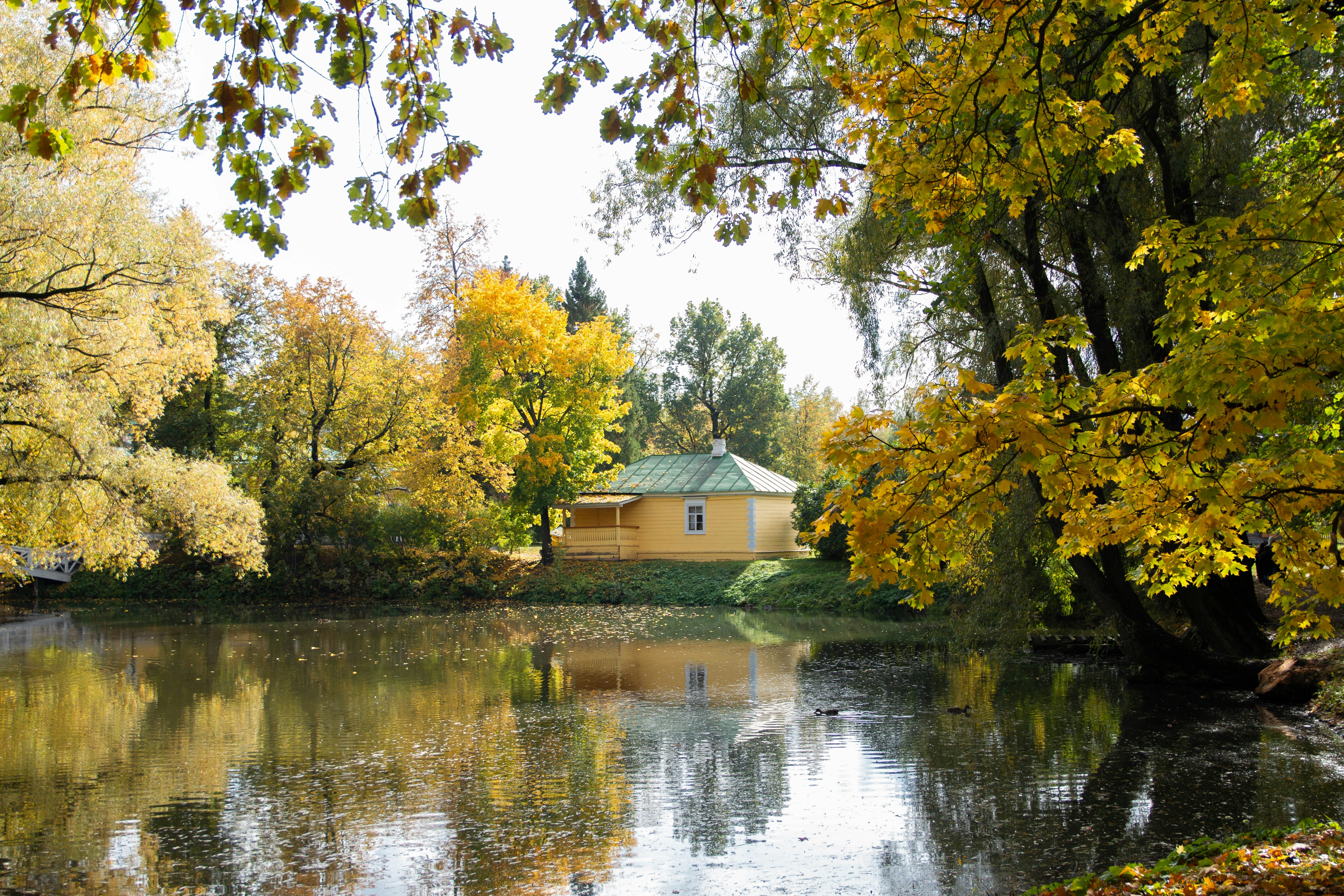Photo by maksimzaviktorin