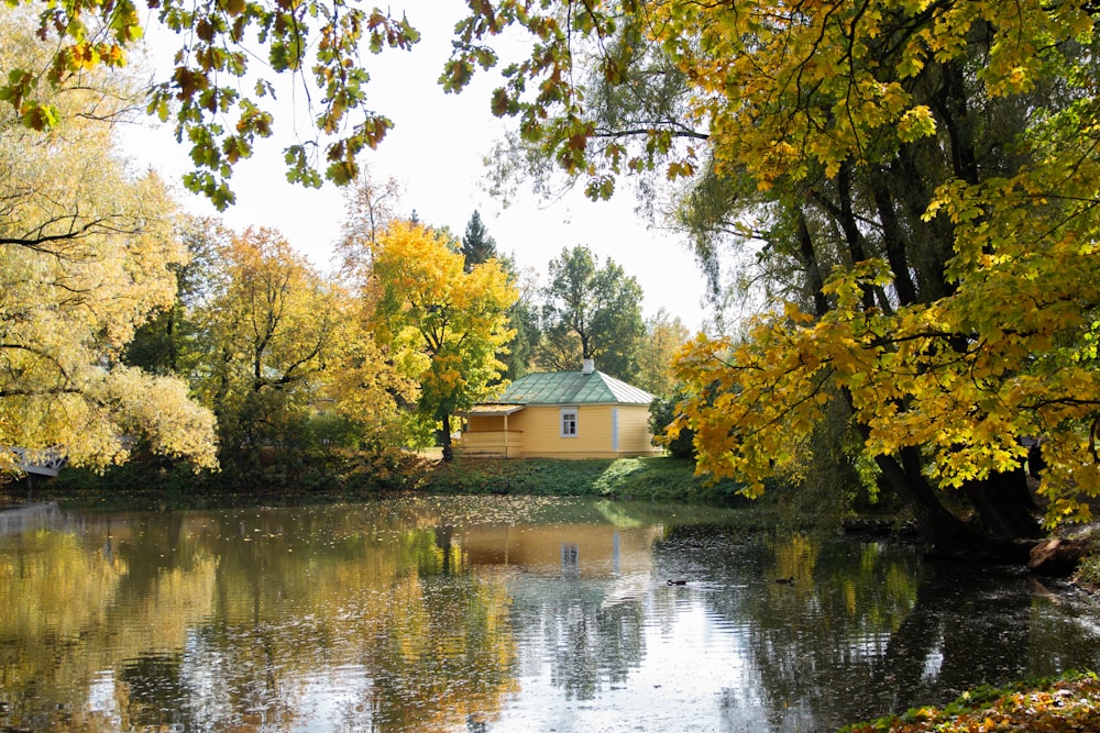 a pond with a house in the background