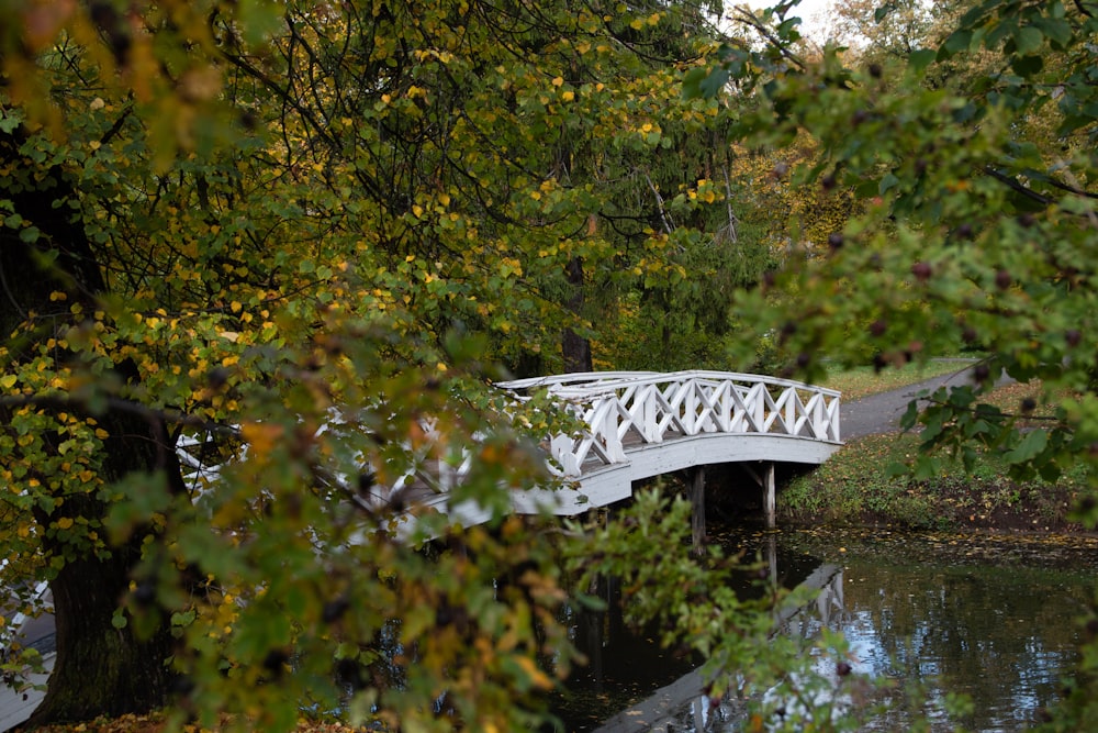 eine Brücke über ein von Bäumen umgebenes Gewässer