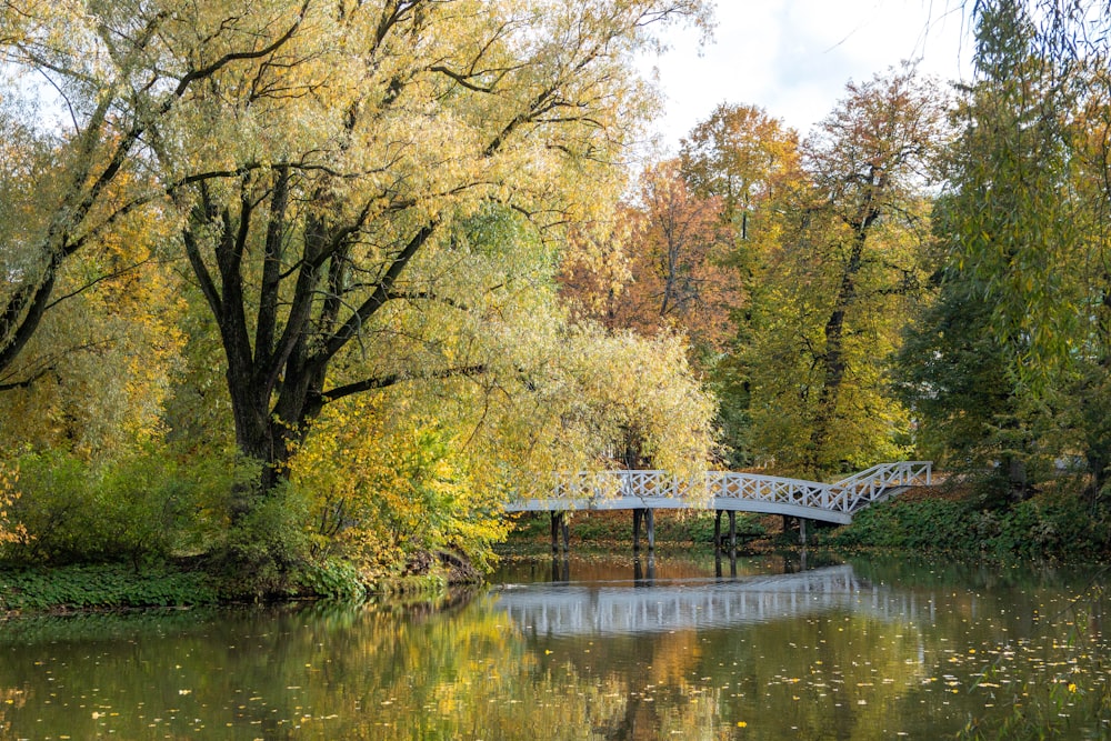 a bridge over a body of water surrounded by trees