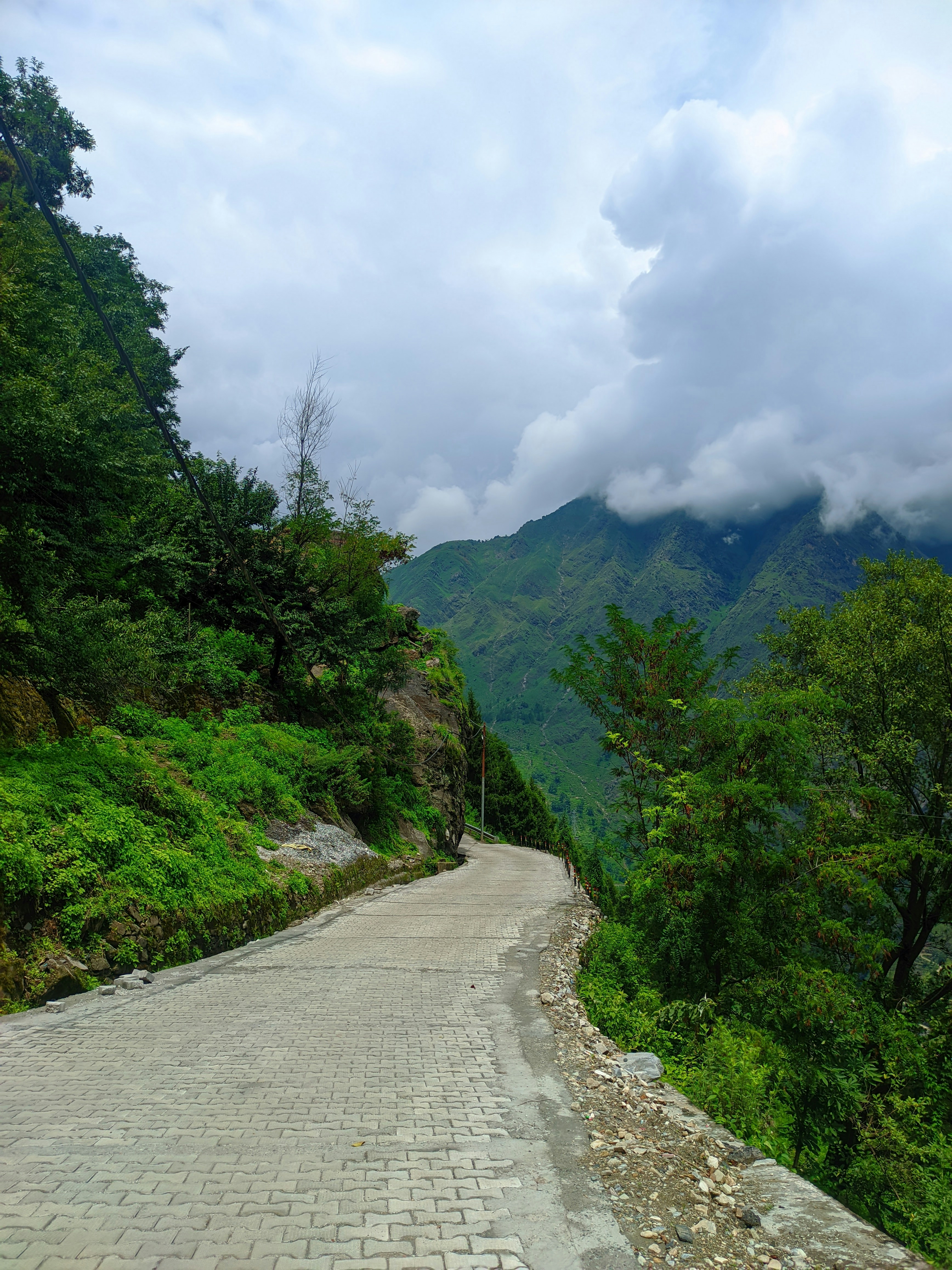 Photo by rohanshah657