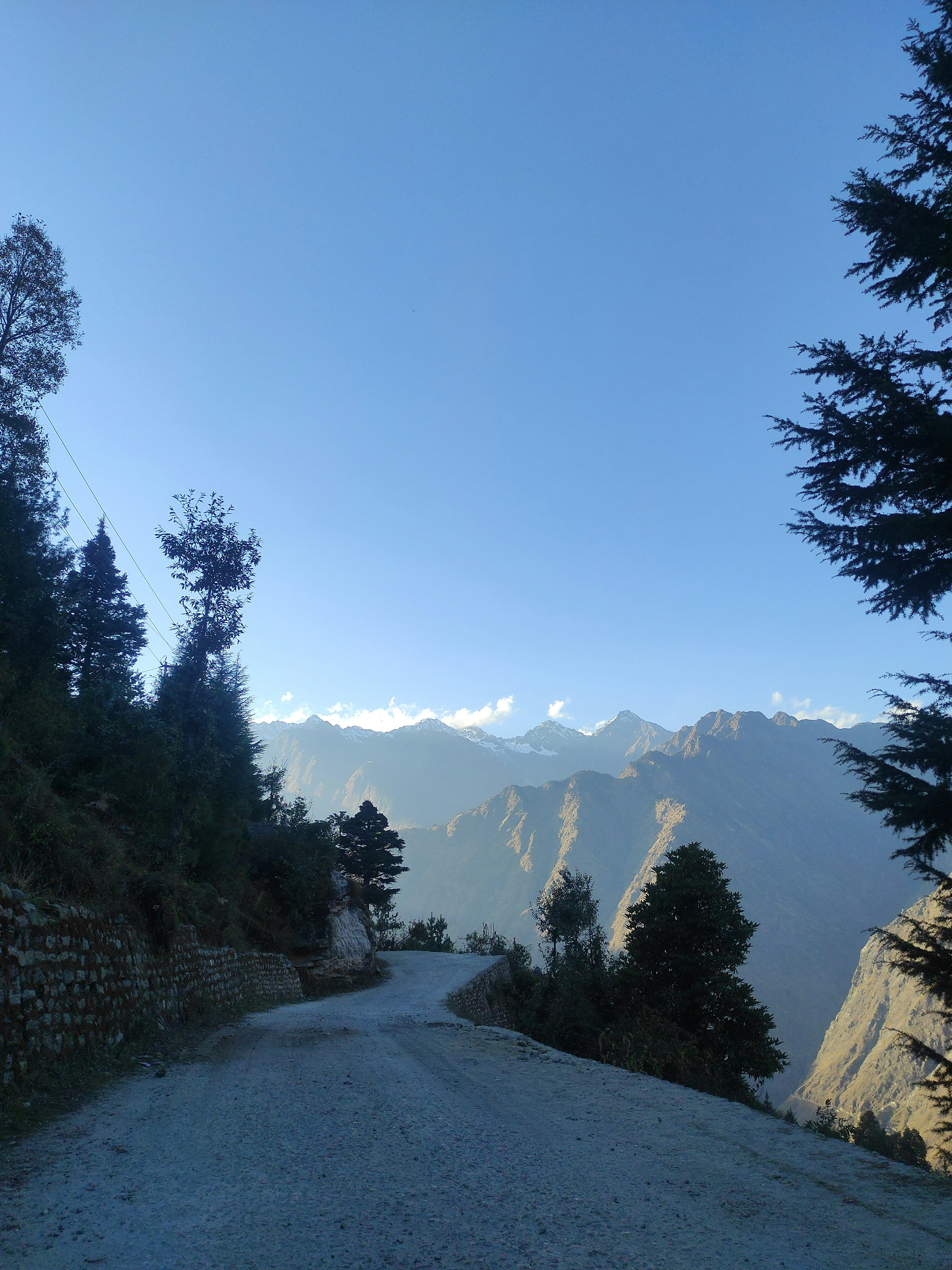 Photo by rohanshah657