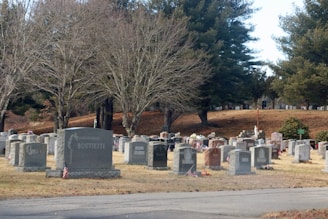 a group of headstones in a cemetery with trees in the background