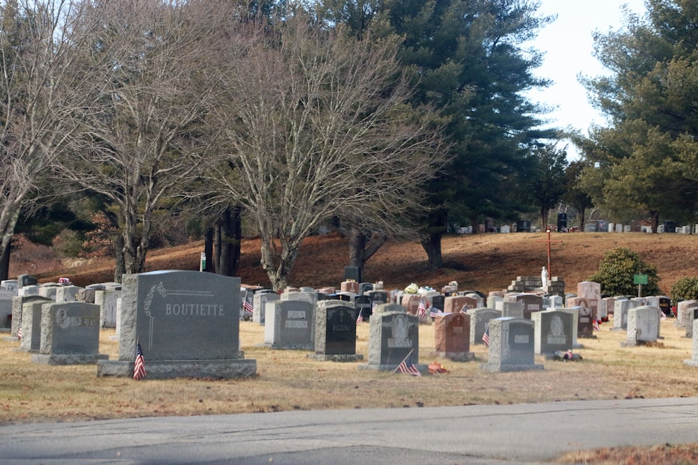 a group of headstones in a cemetery with trees in the background