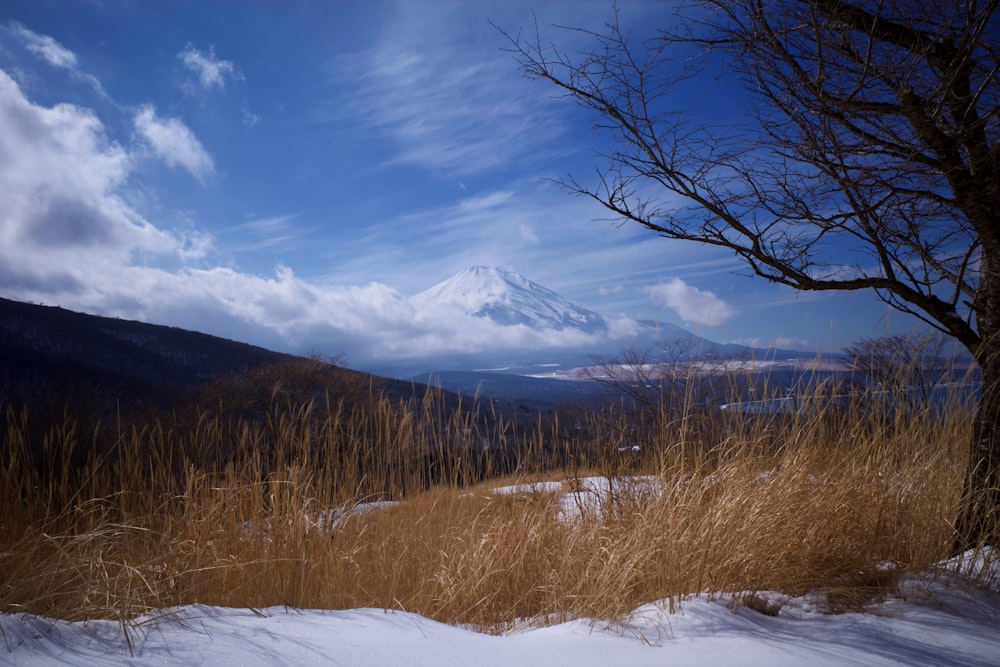 a snow covered field with a mountain in the background