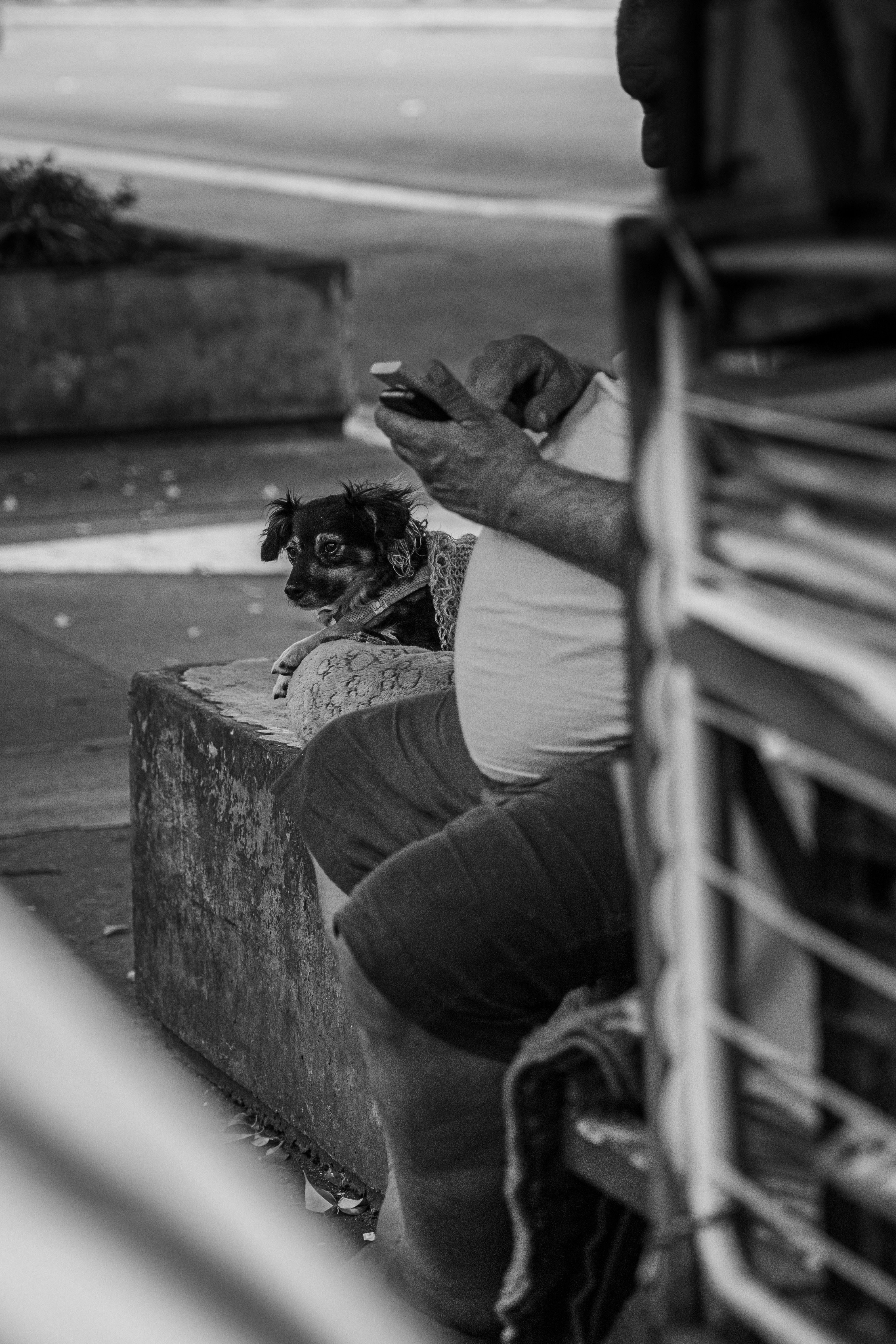 Photo by darwinboaventura