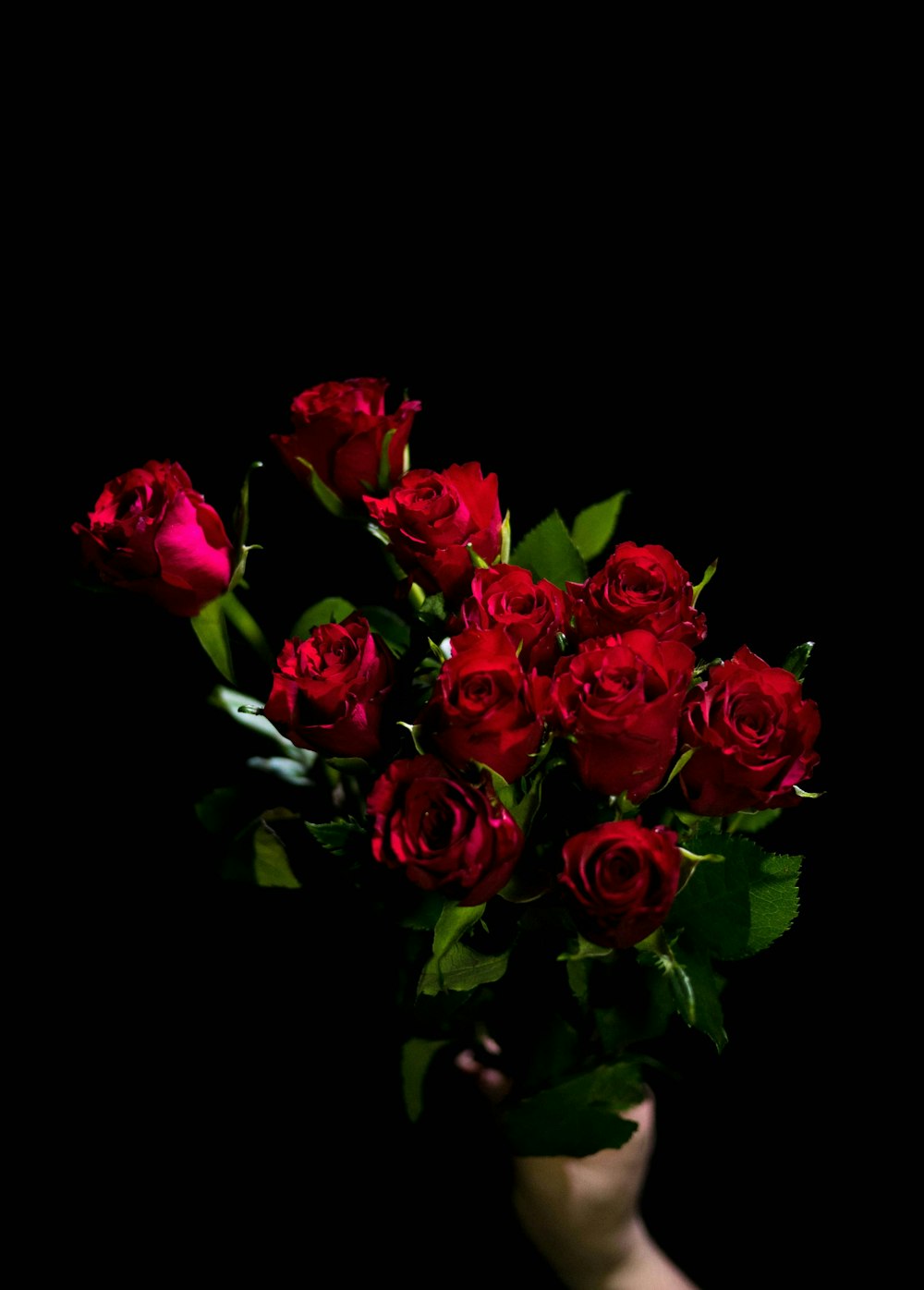 a hand holding a bouquet of red roses