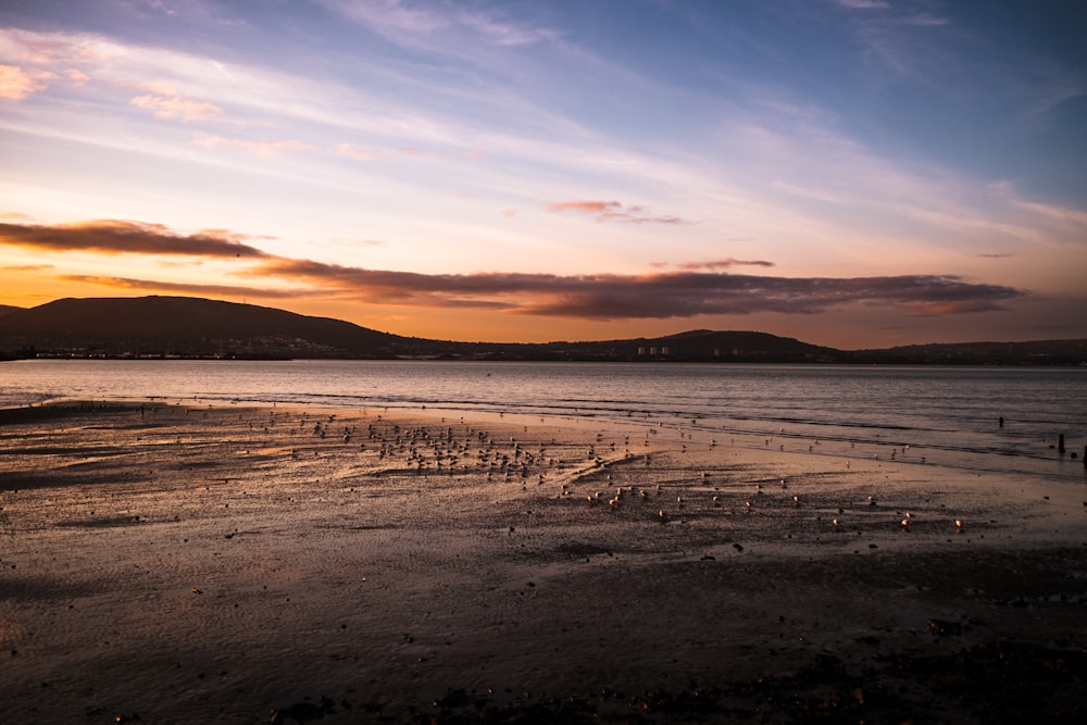 the sun is setting over the water on the beach