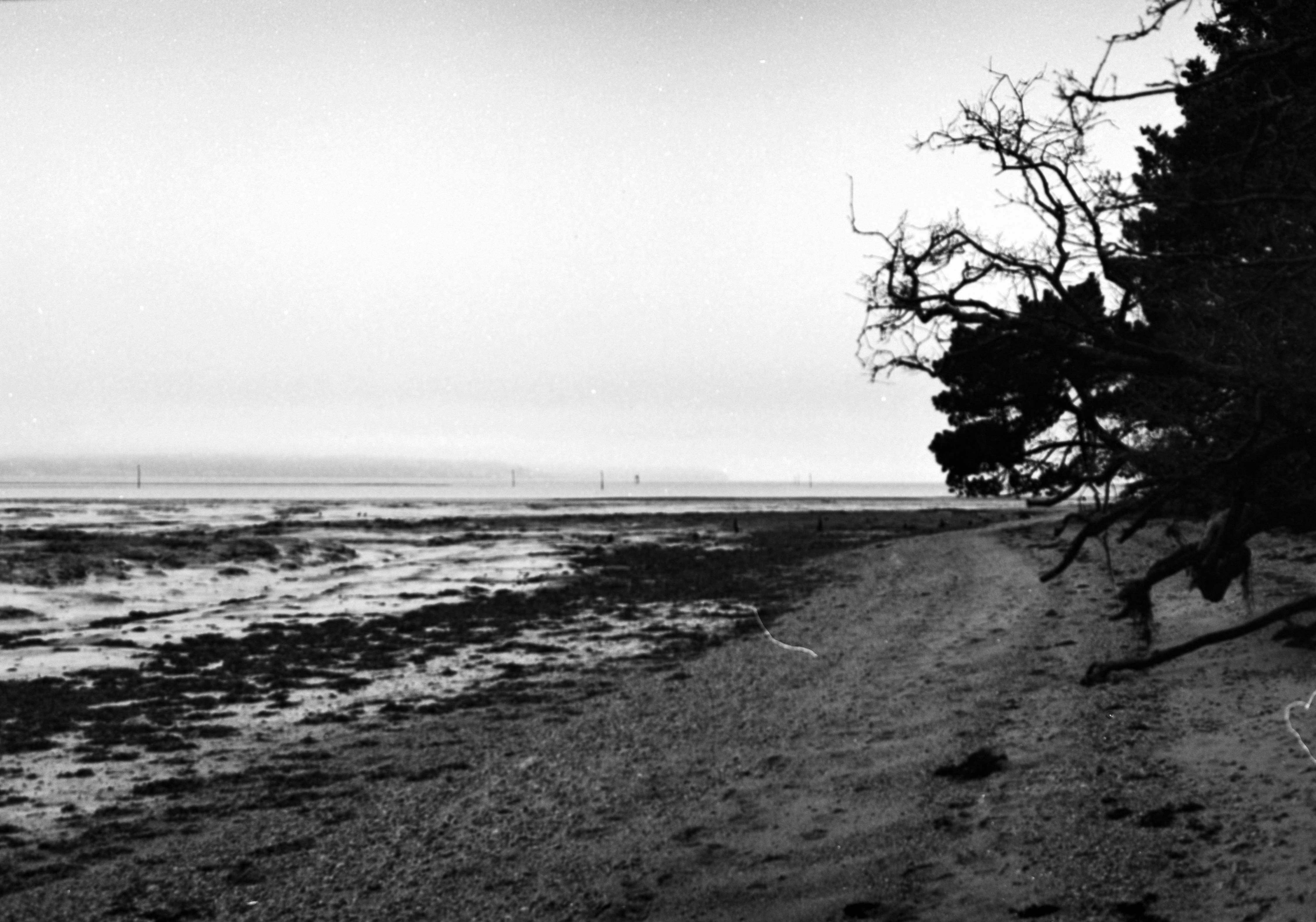 Photo by anniespratt