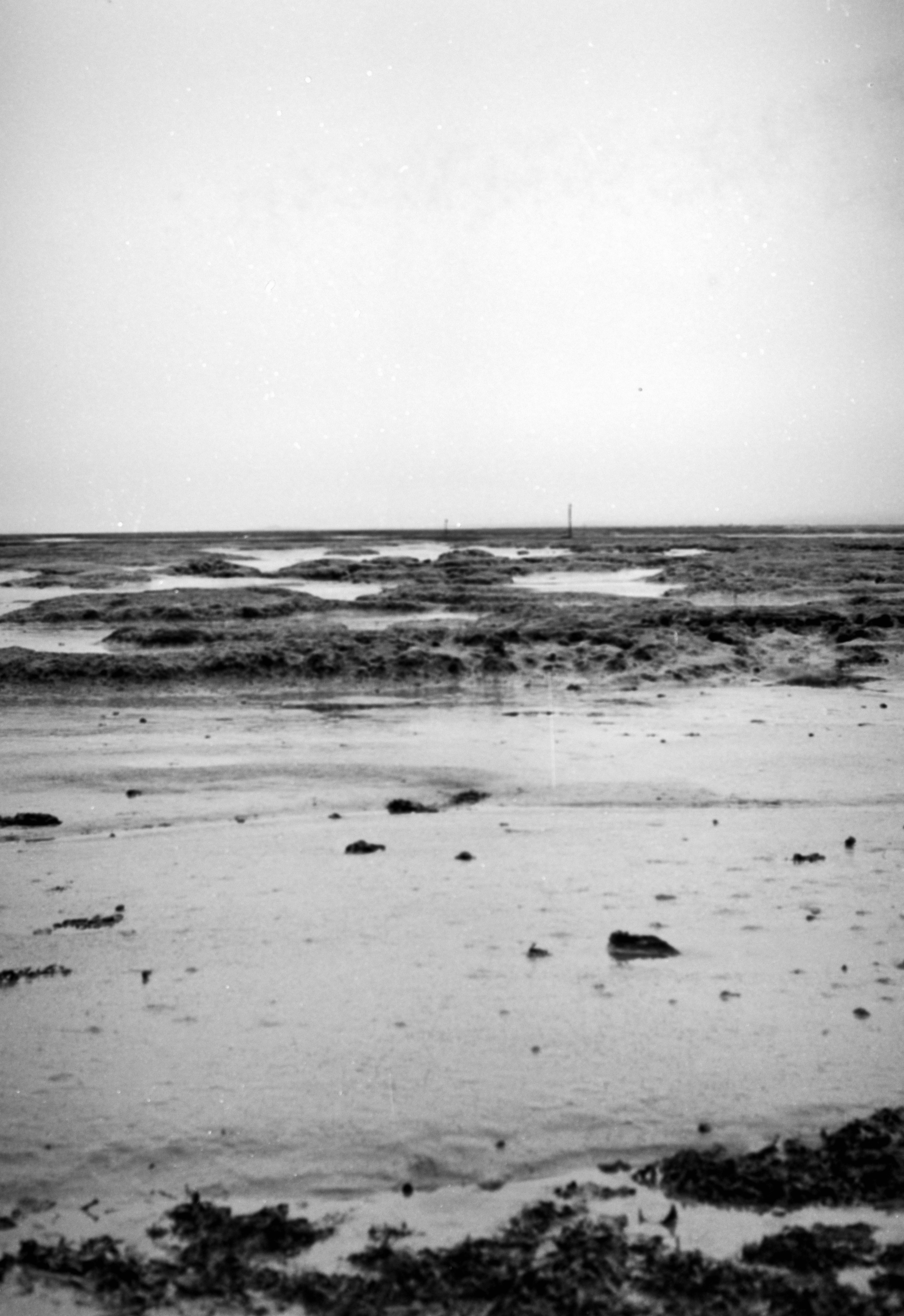 Photo by anniespratt