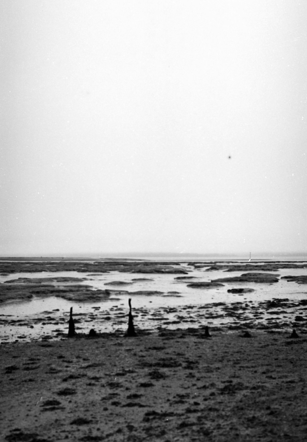 two people are flying a kite on the beach