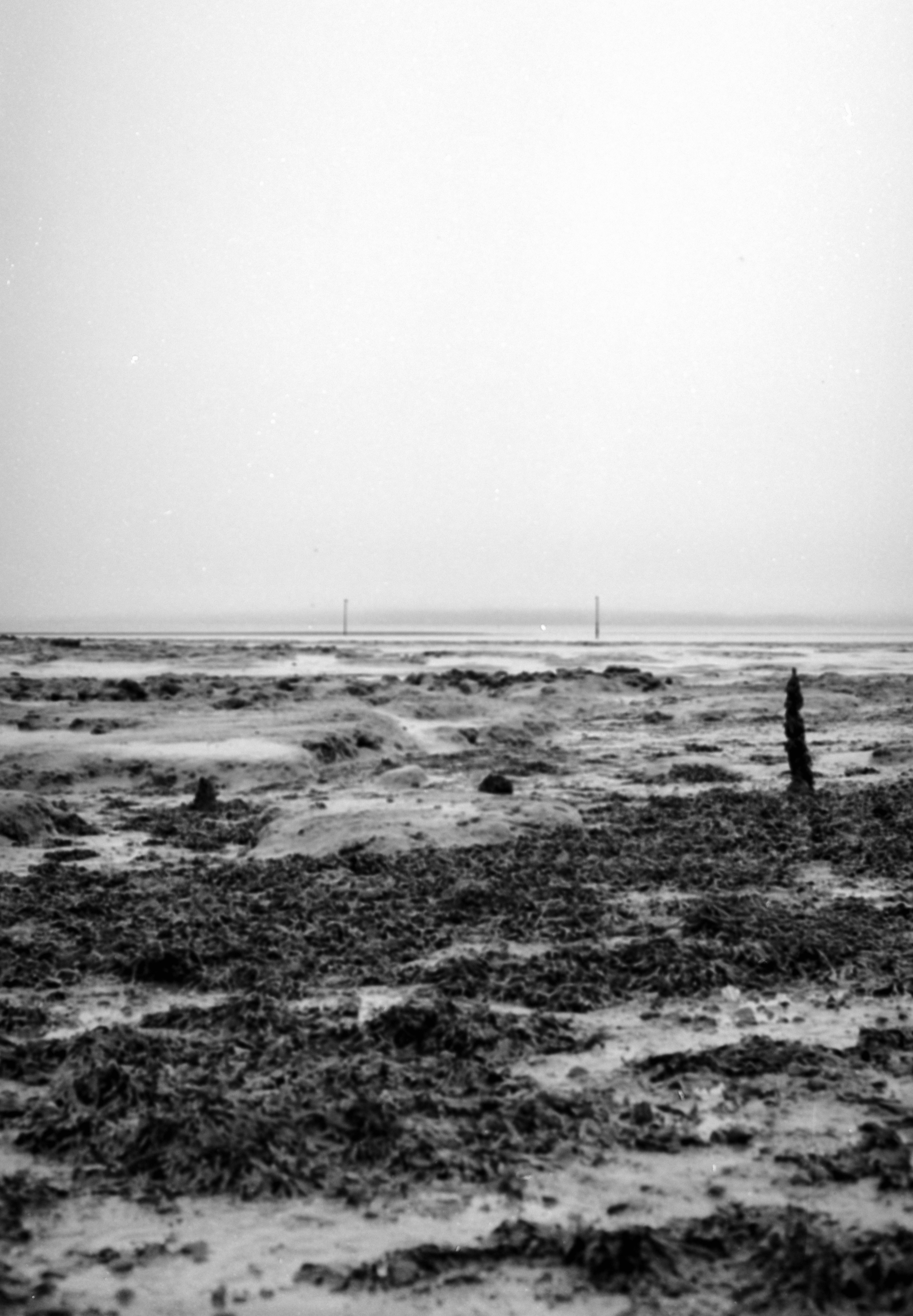 Photo by anniespratt