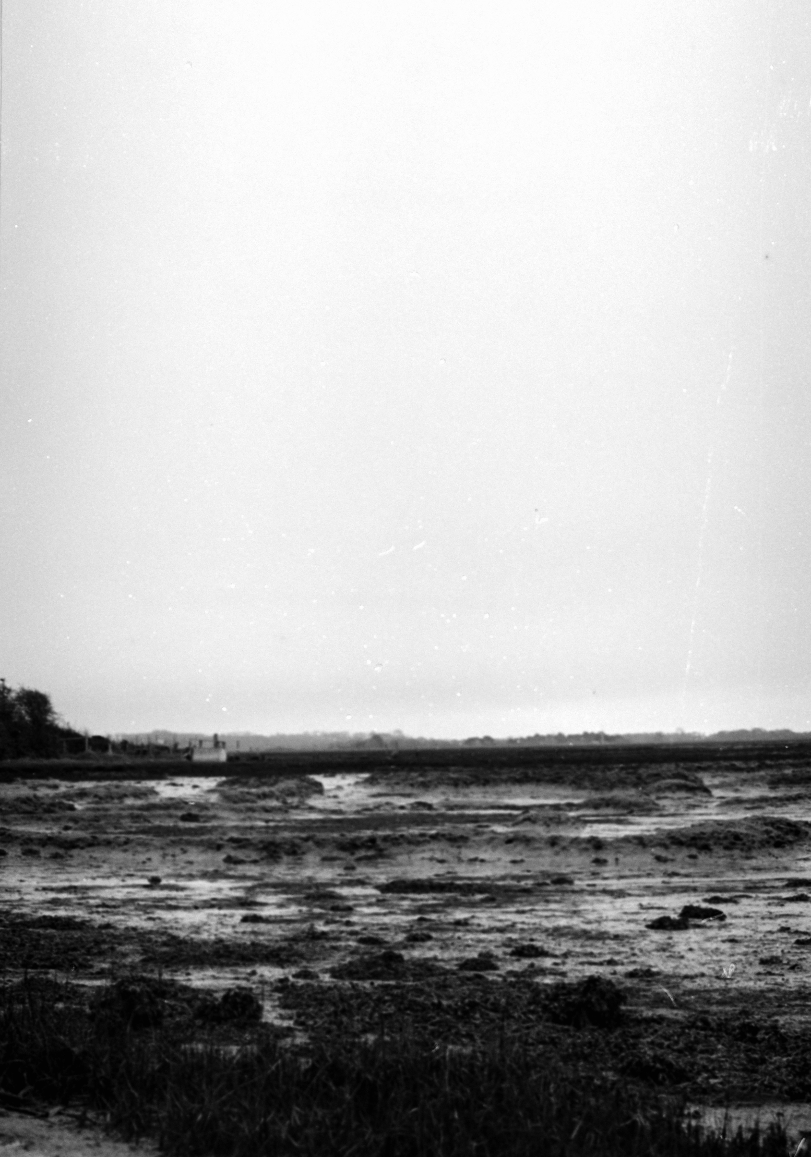 Photo by anniespratt