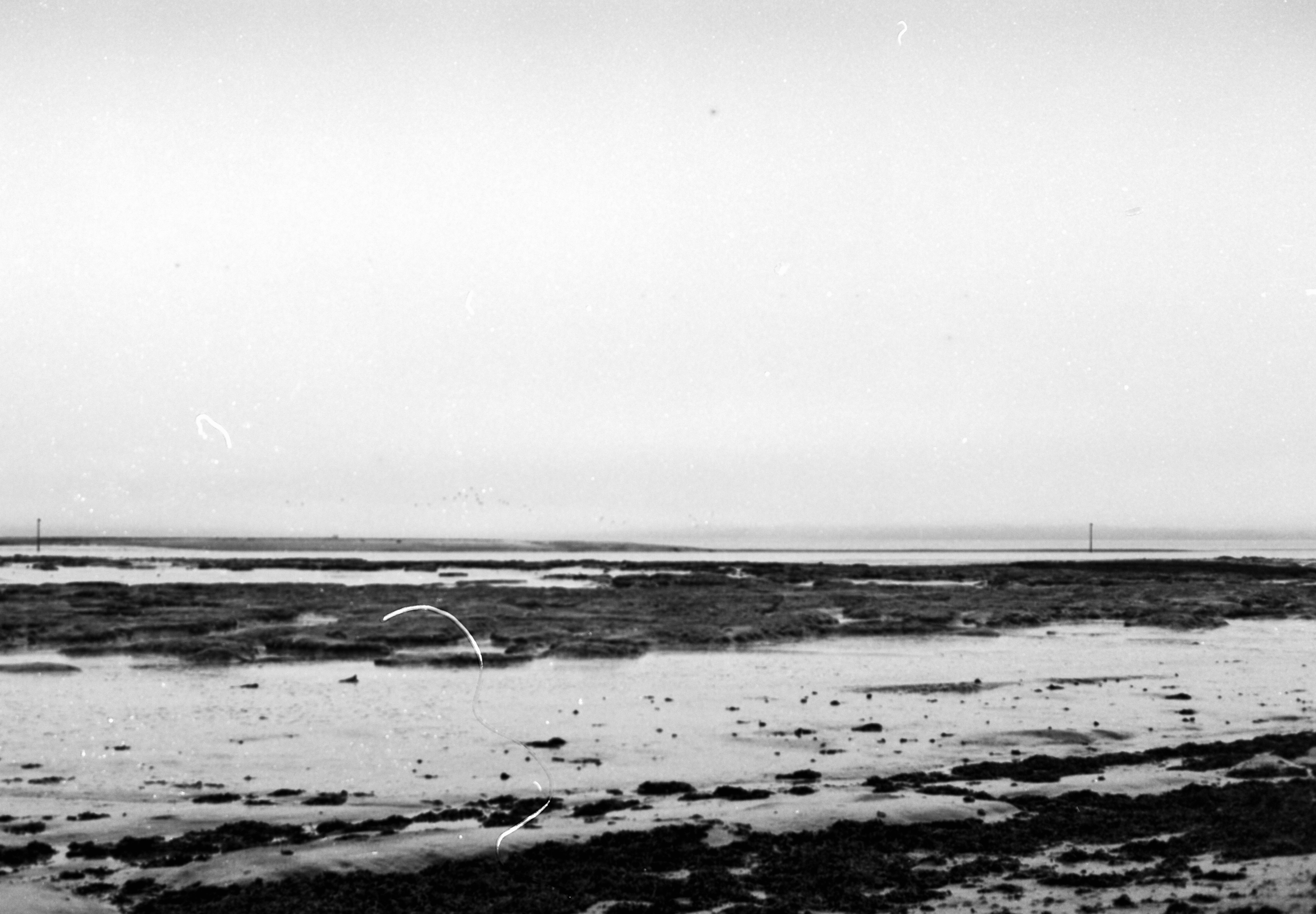 Photo by anniespratt