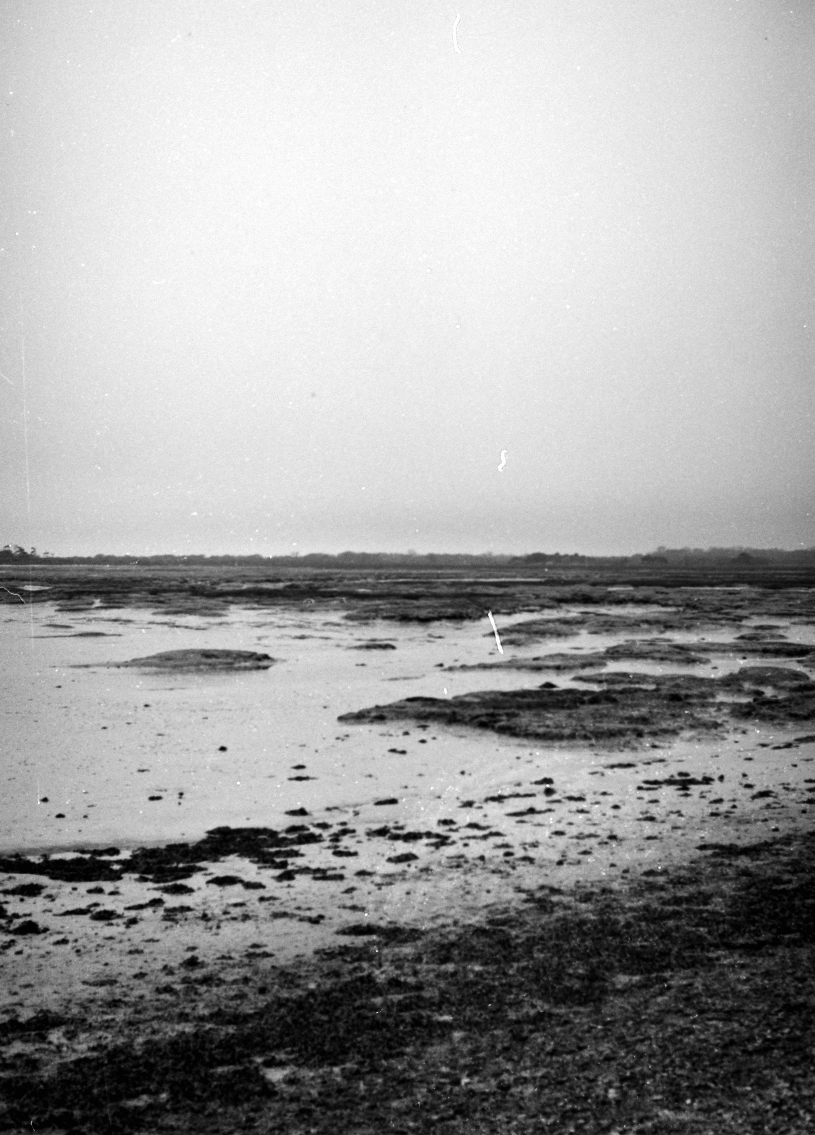 Photo by anniespratt