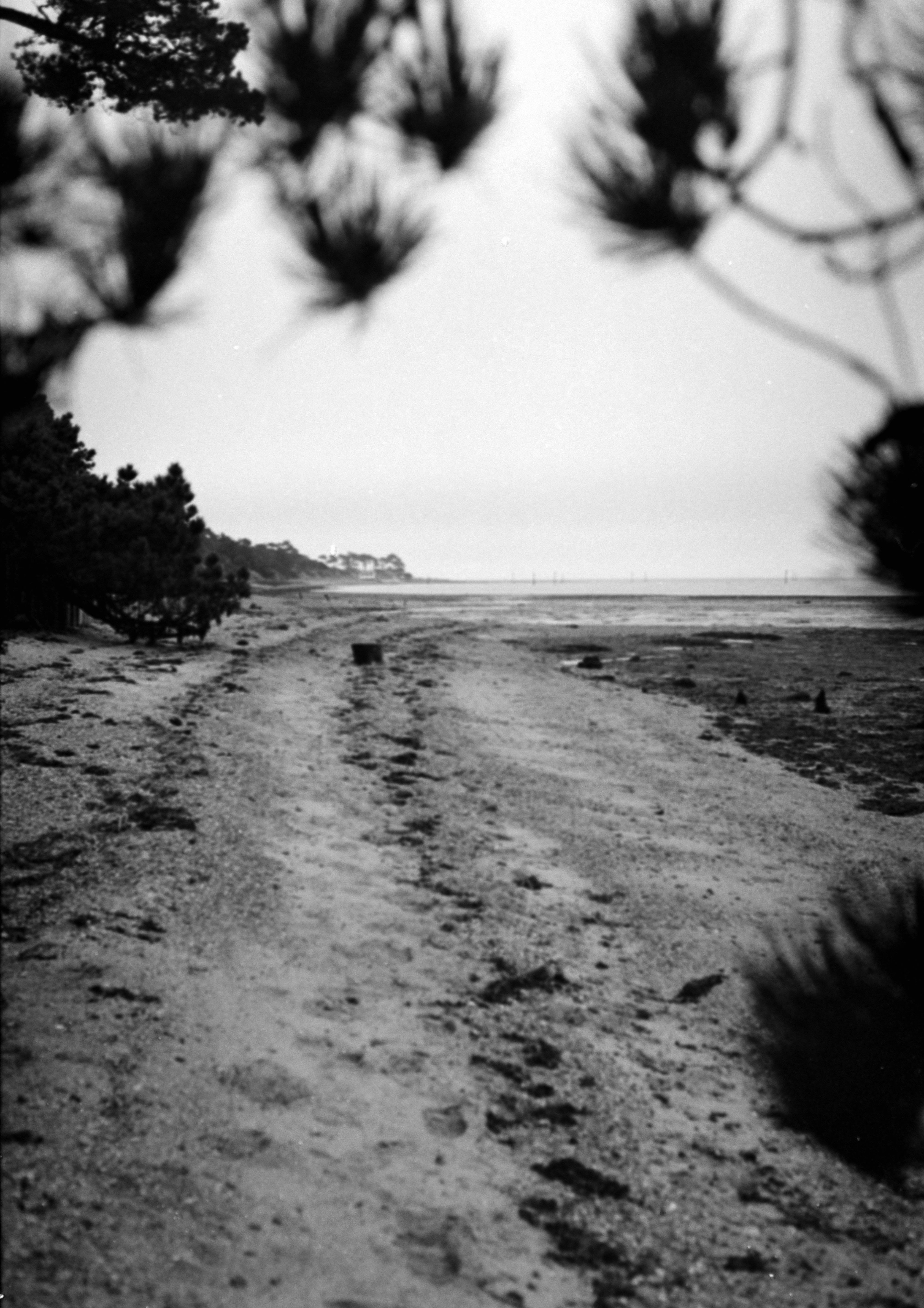 Une photo en noir et blanc d'un chemin de terre photo – Image gratuite de  Plage sur Unsplash, image size:3000x4246
