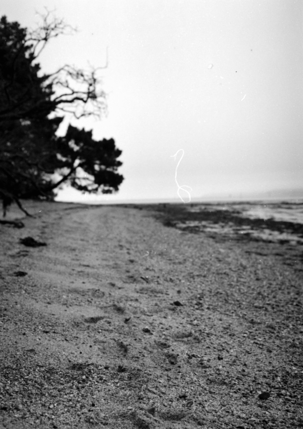 a black and white photo of a sandy beach