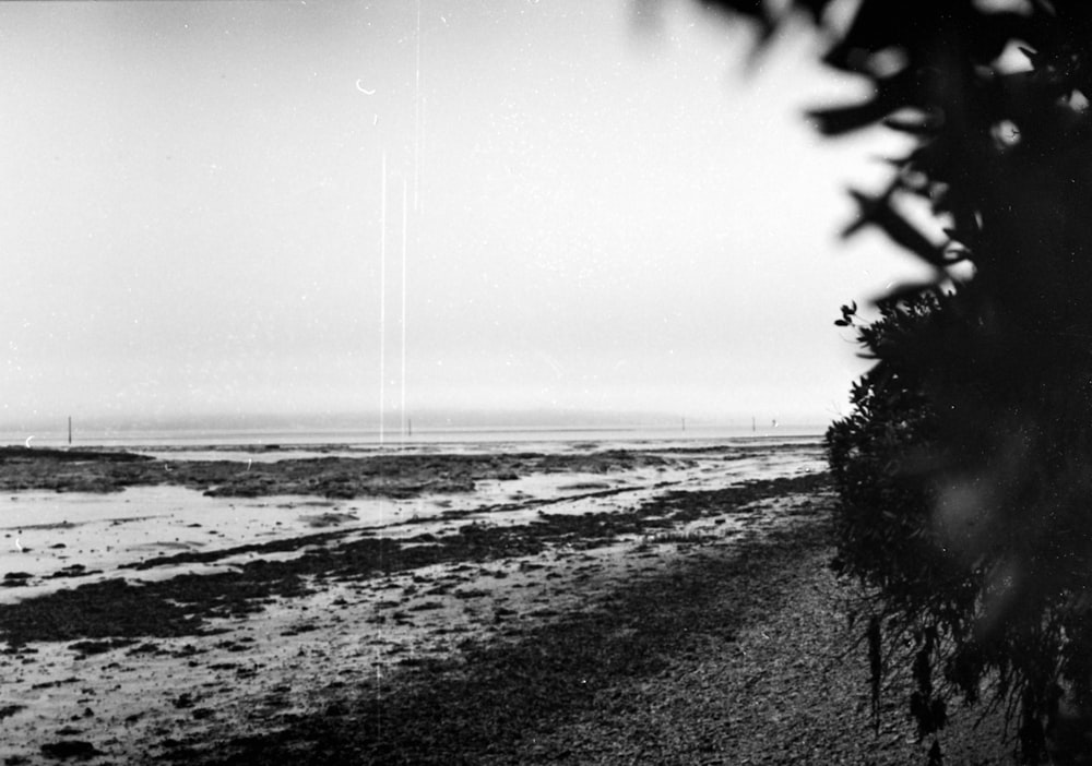 a black and white photo of a beach