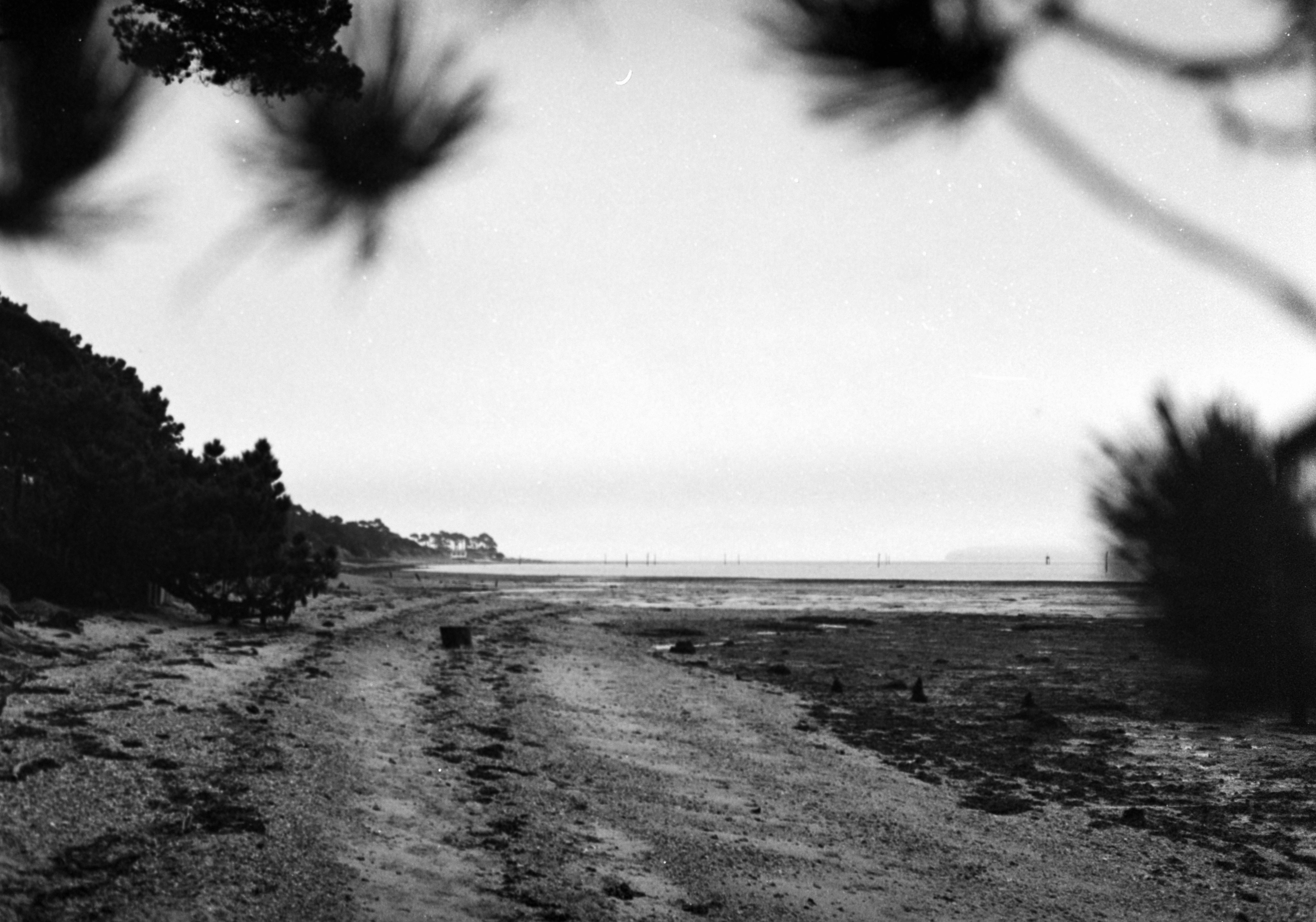 Photo by anniespratt