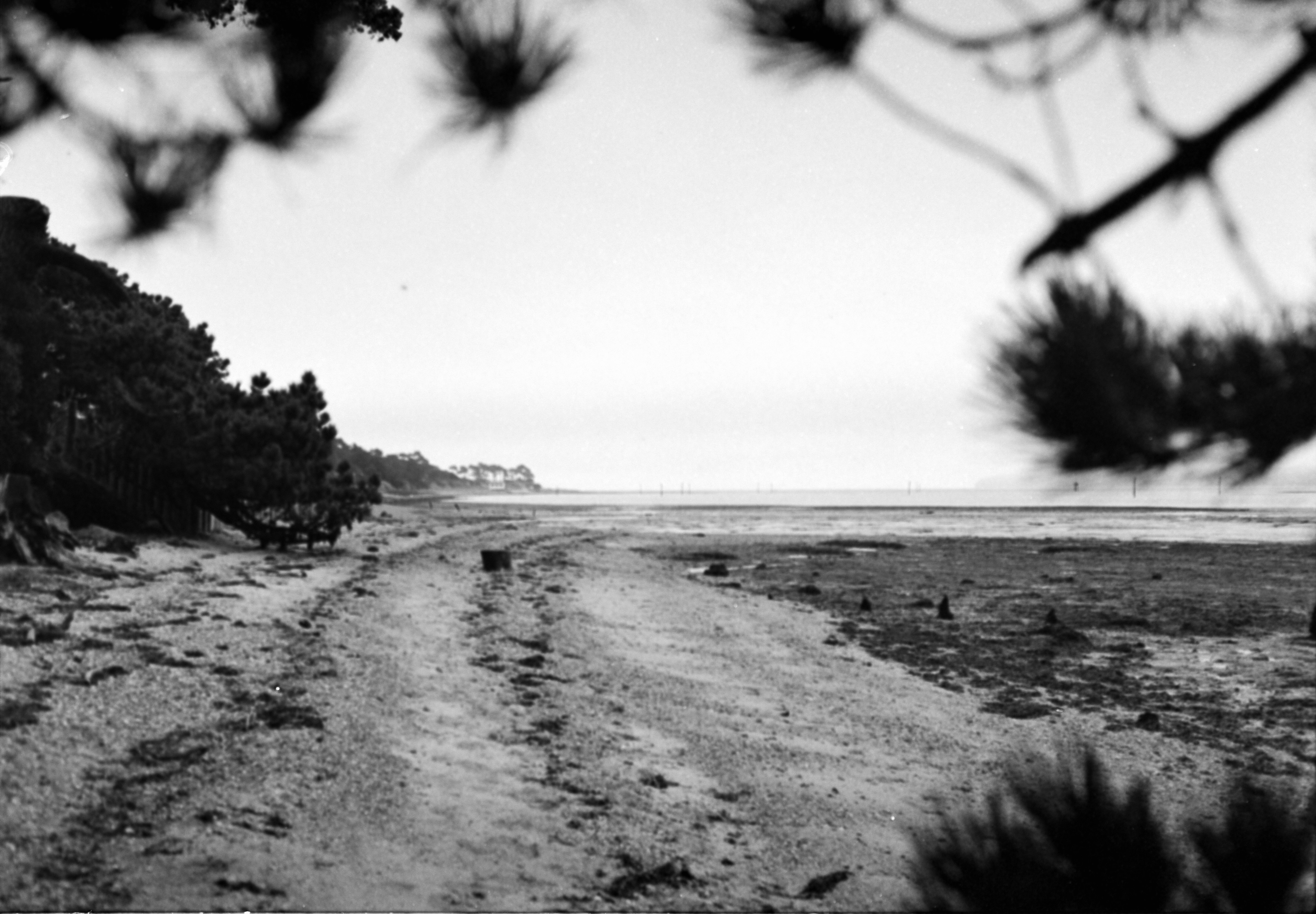 Photo by anniespratt