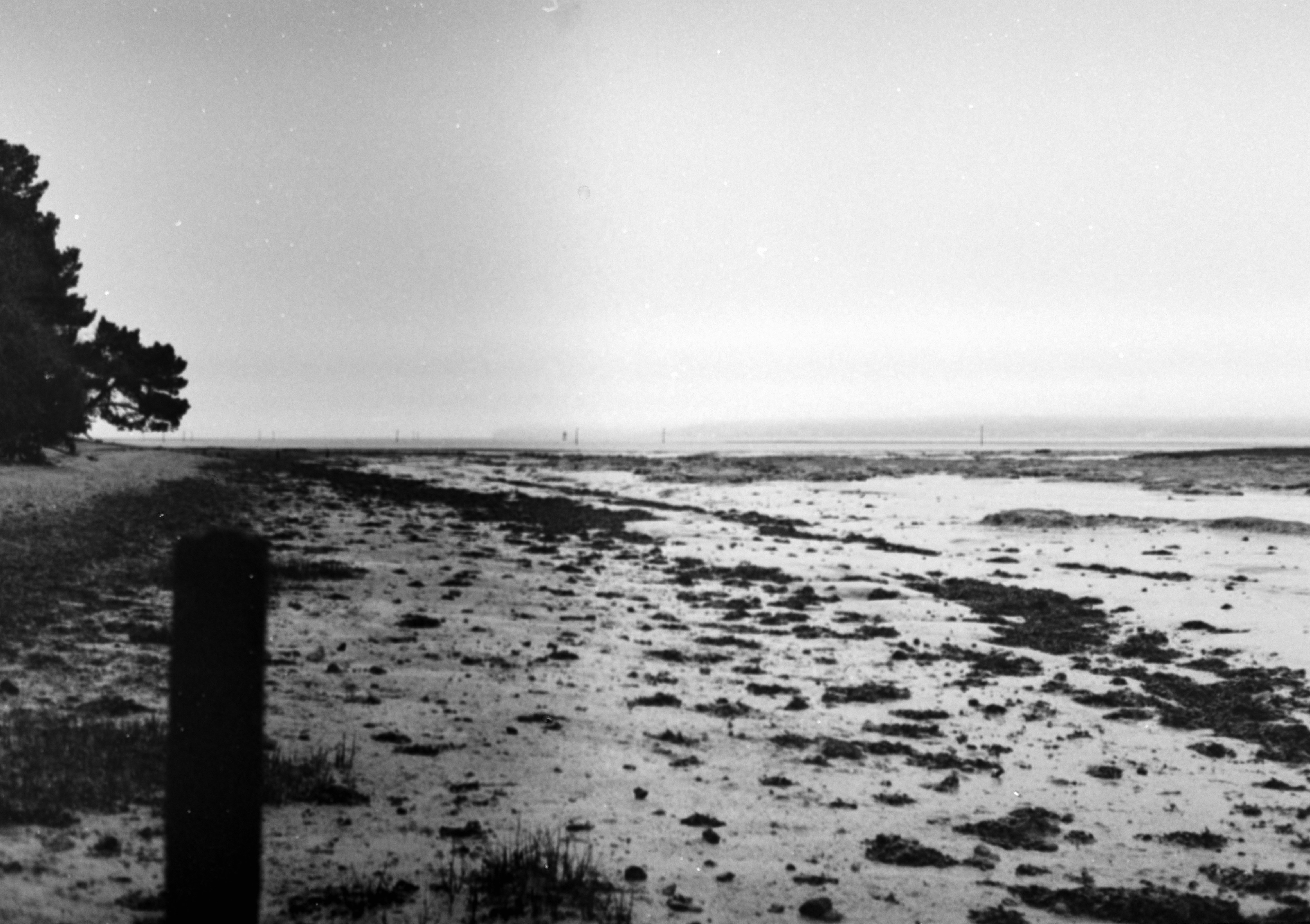 Photo by anniespratt