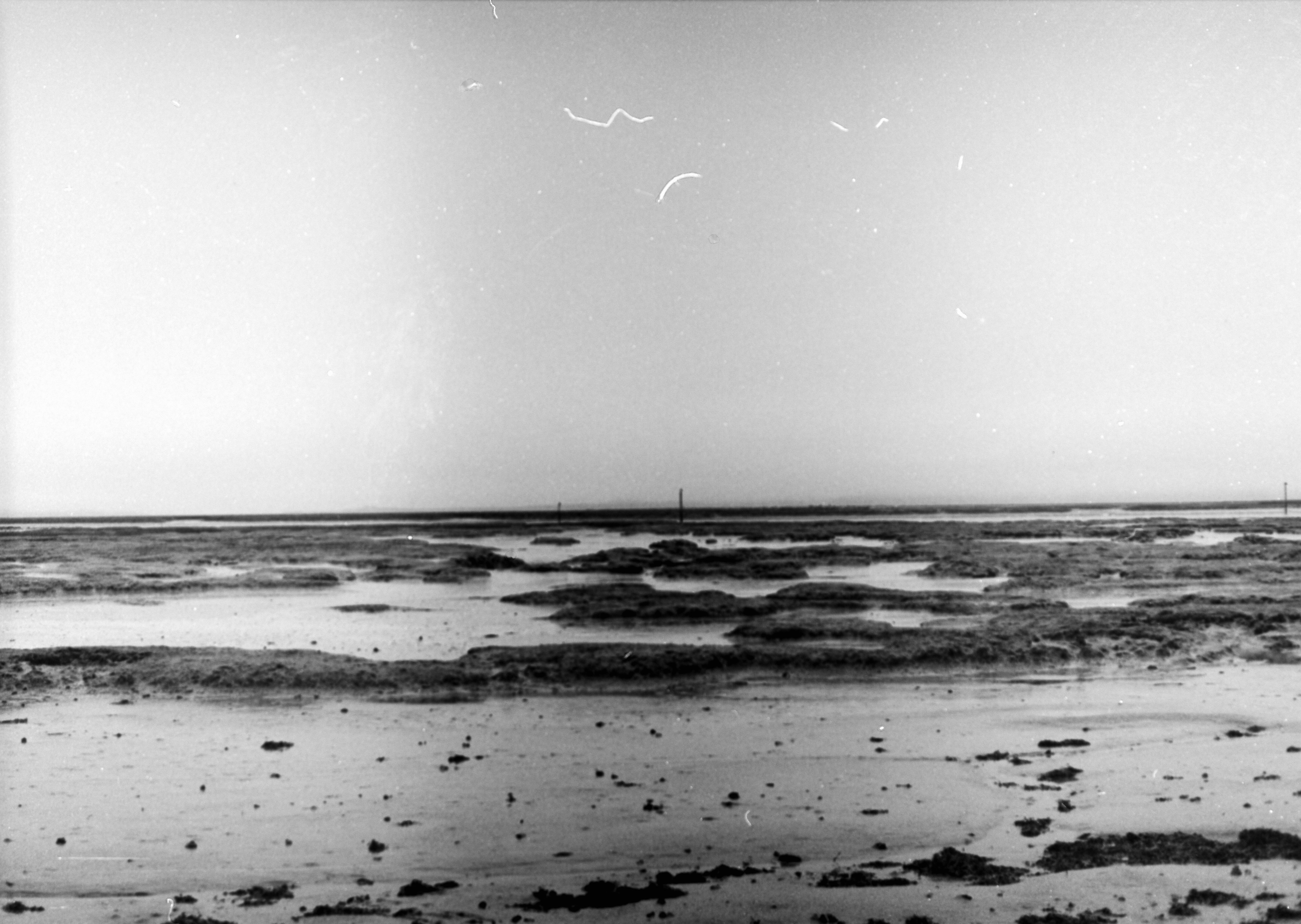 Photo by anniespratt