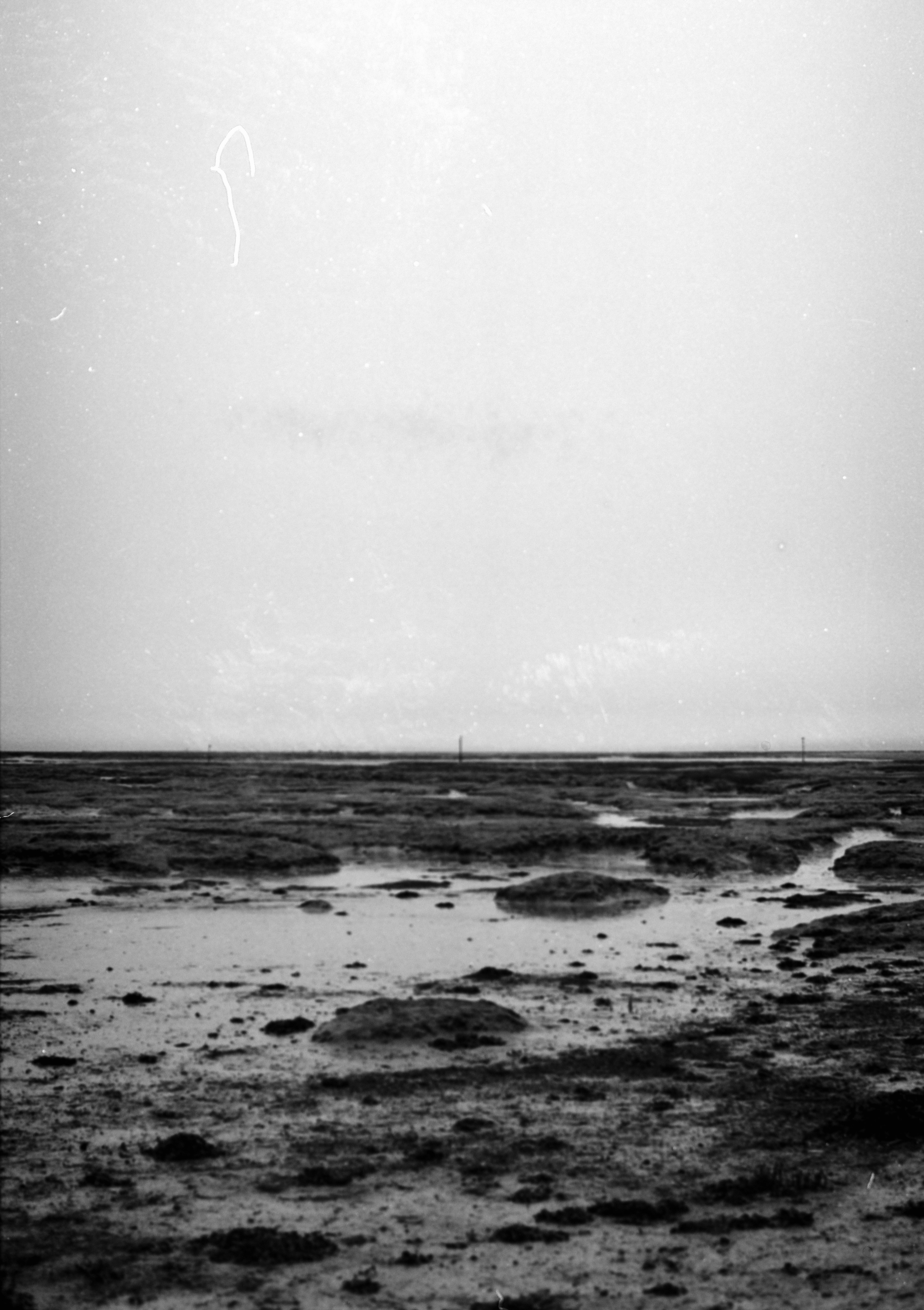 Photo by anniespratt