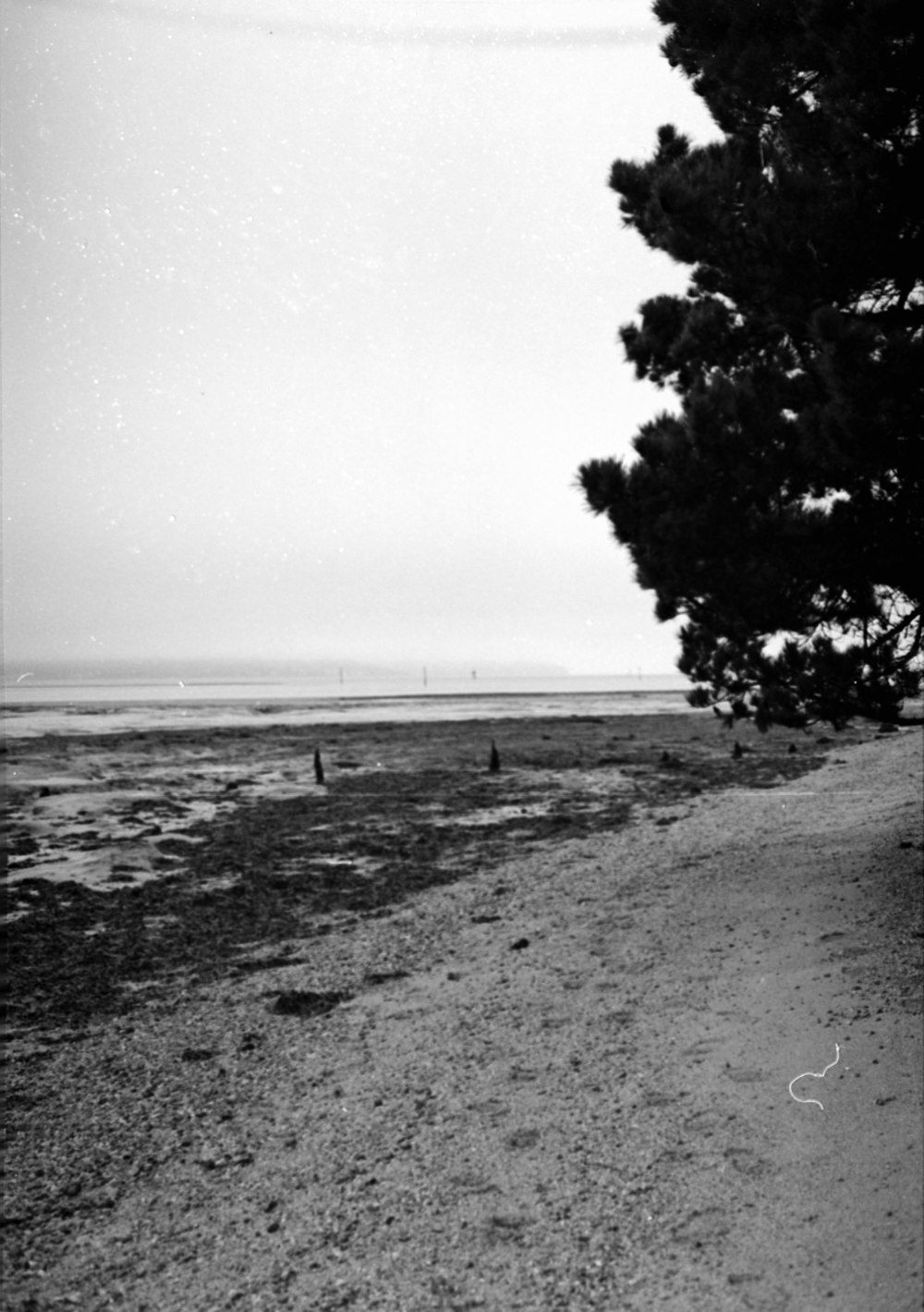 a black and white photo of a beach