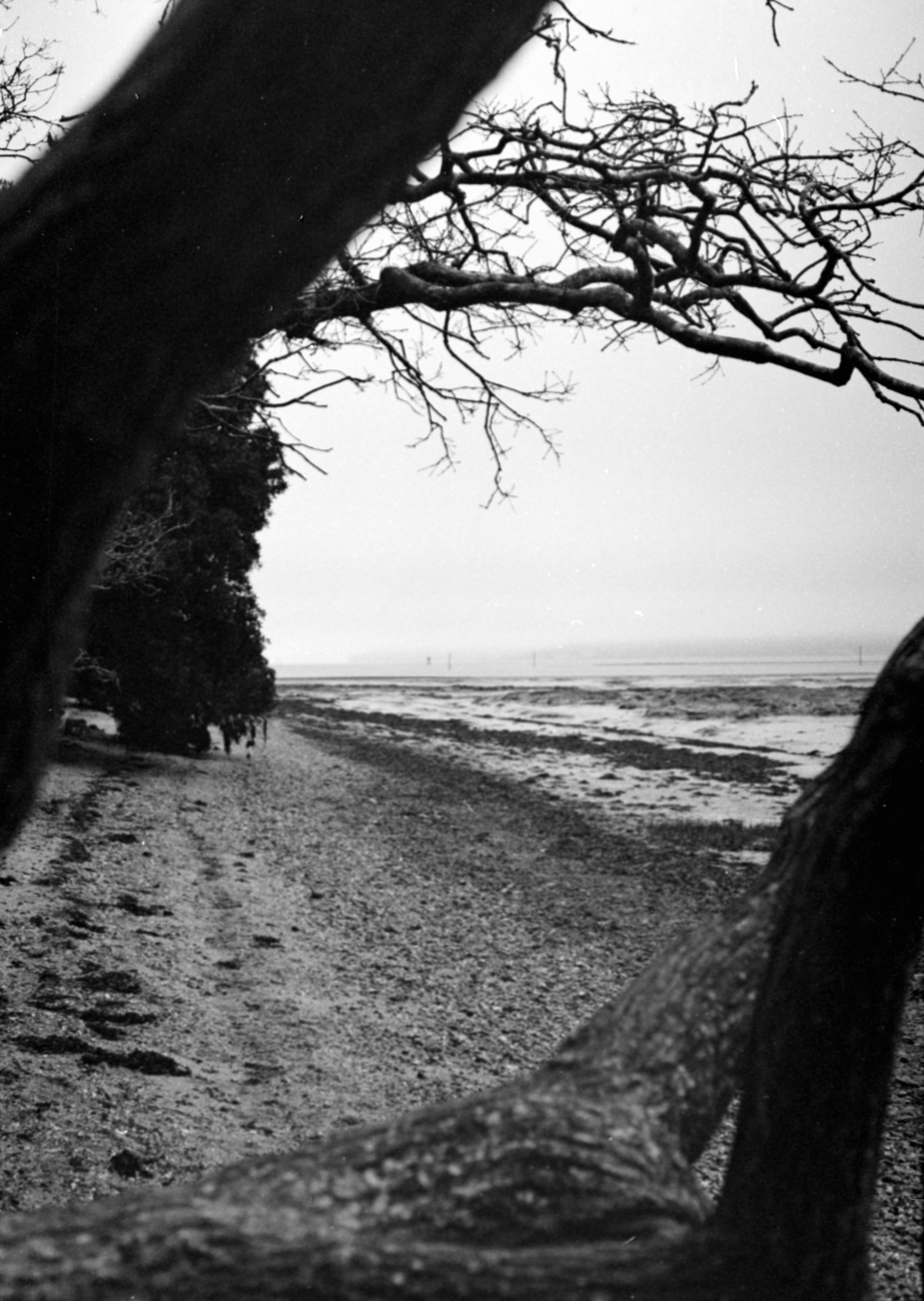 Photo by anniespratt