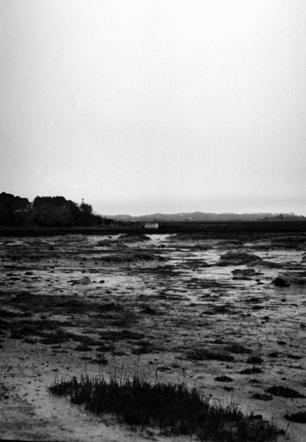 a black and white photo of a beach with a kite flying in the sky