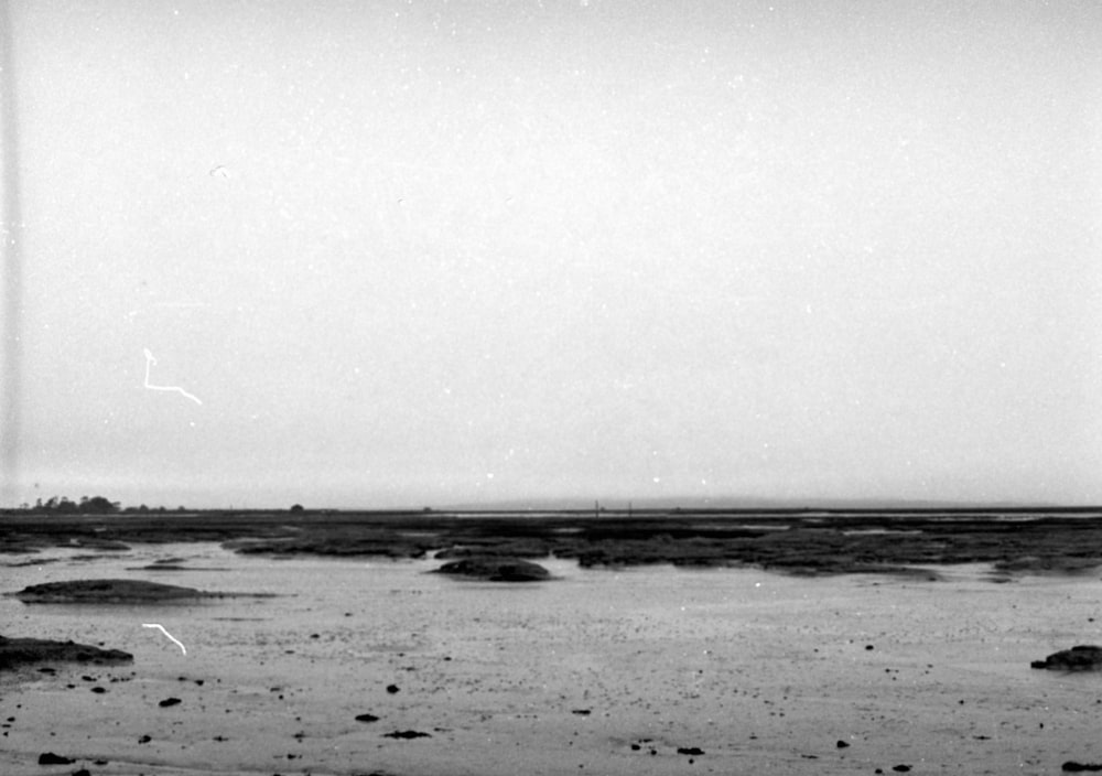 a black and white photo of a beach