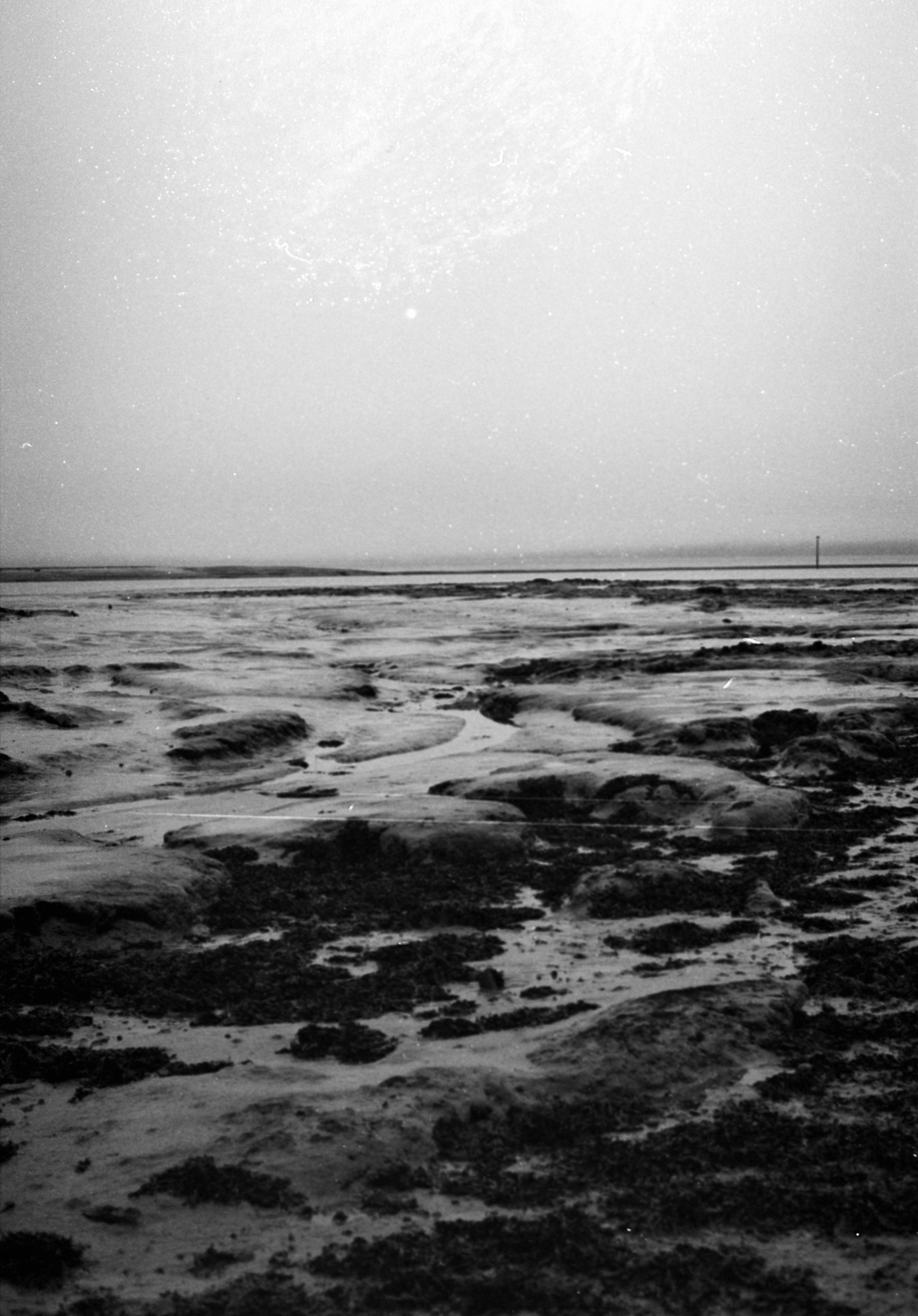 Photo by anniespratt