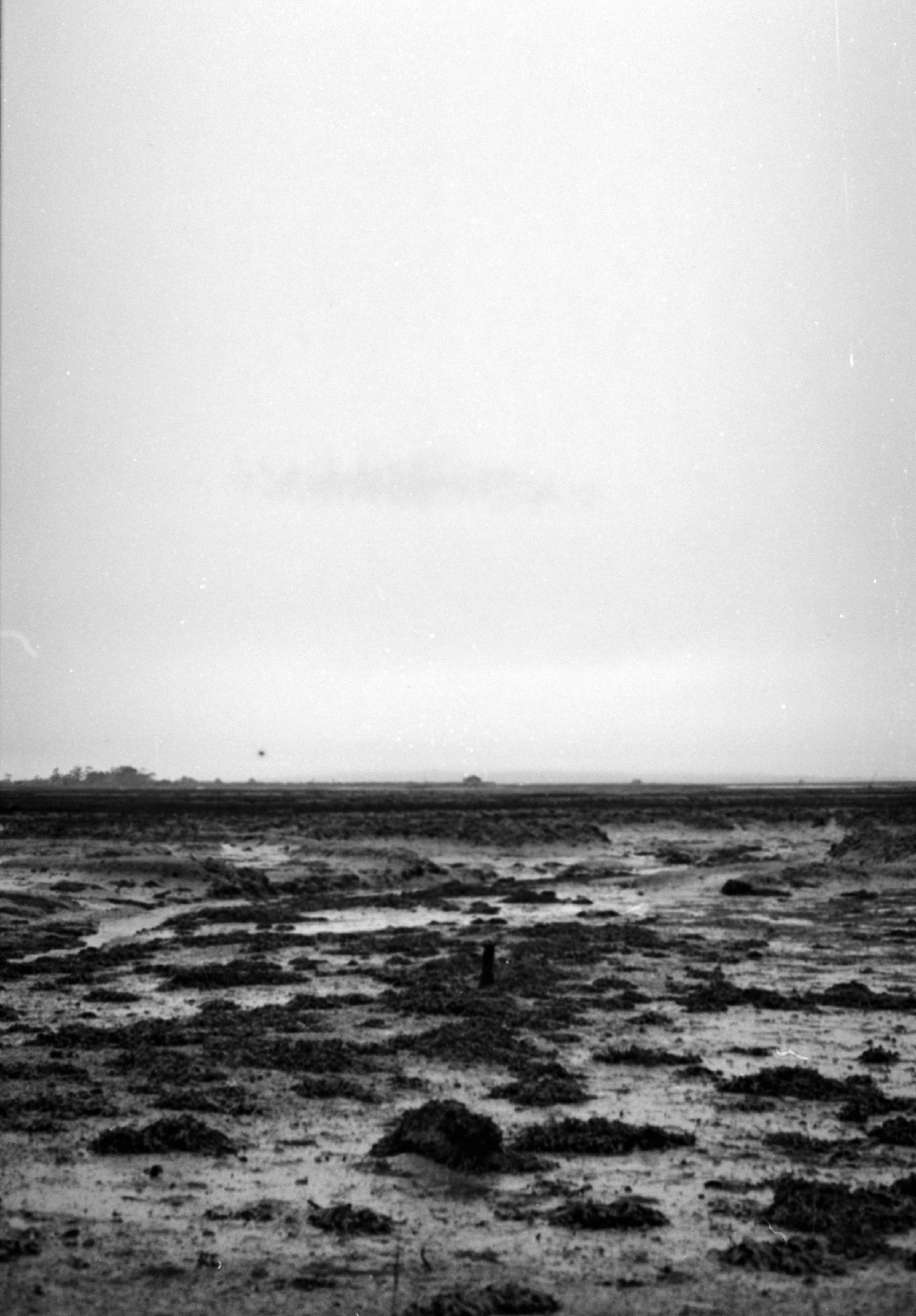 Photo by anniespratt