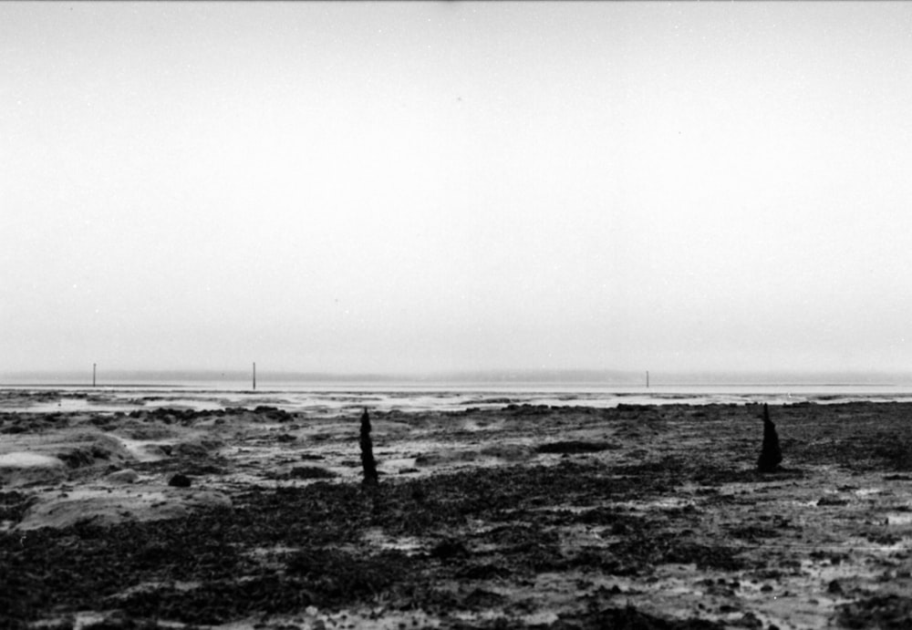 a black and white photo of a beach